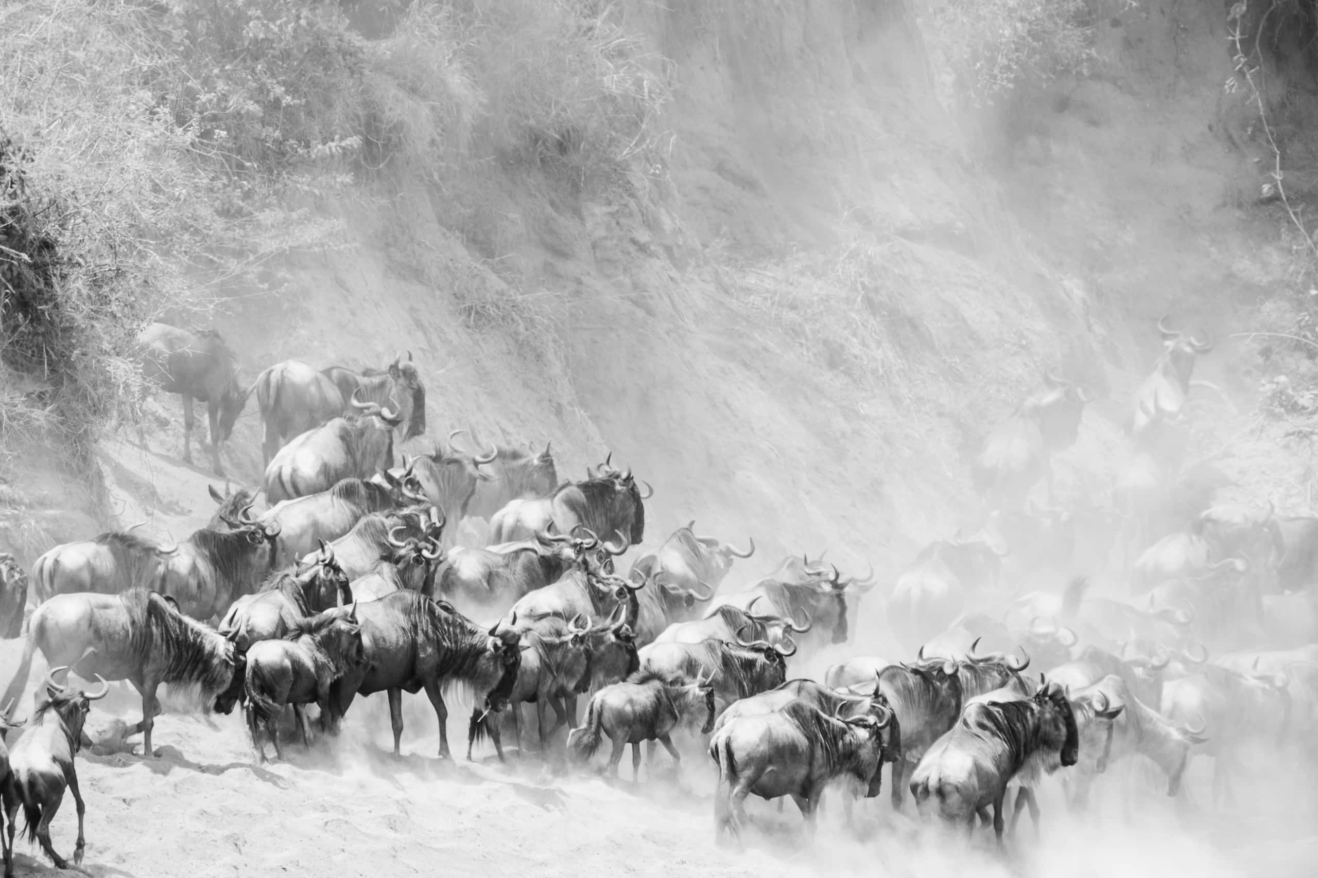 12333118082018230 ©SimonePaleari