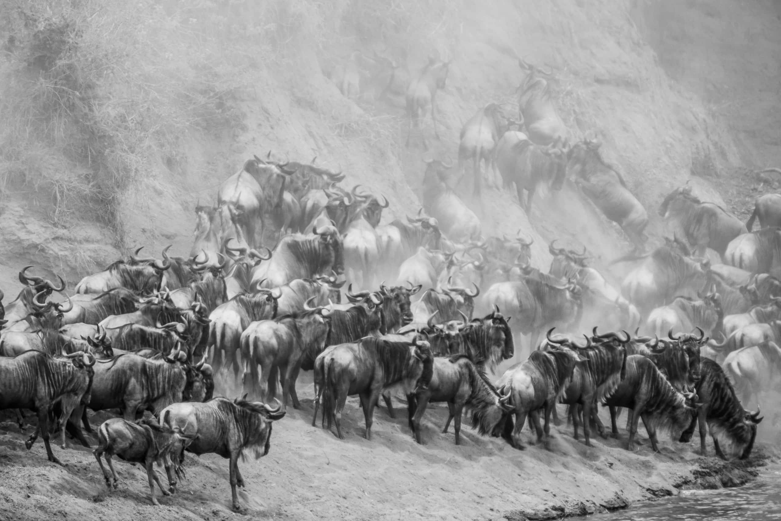 12351318082018230 ©SimonePaleari