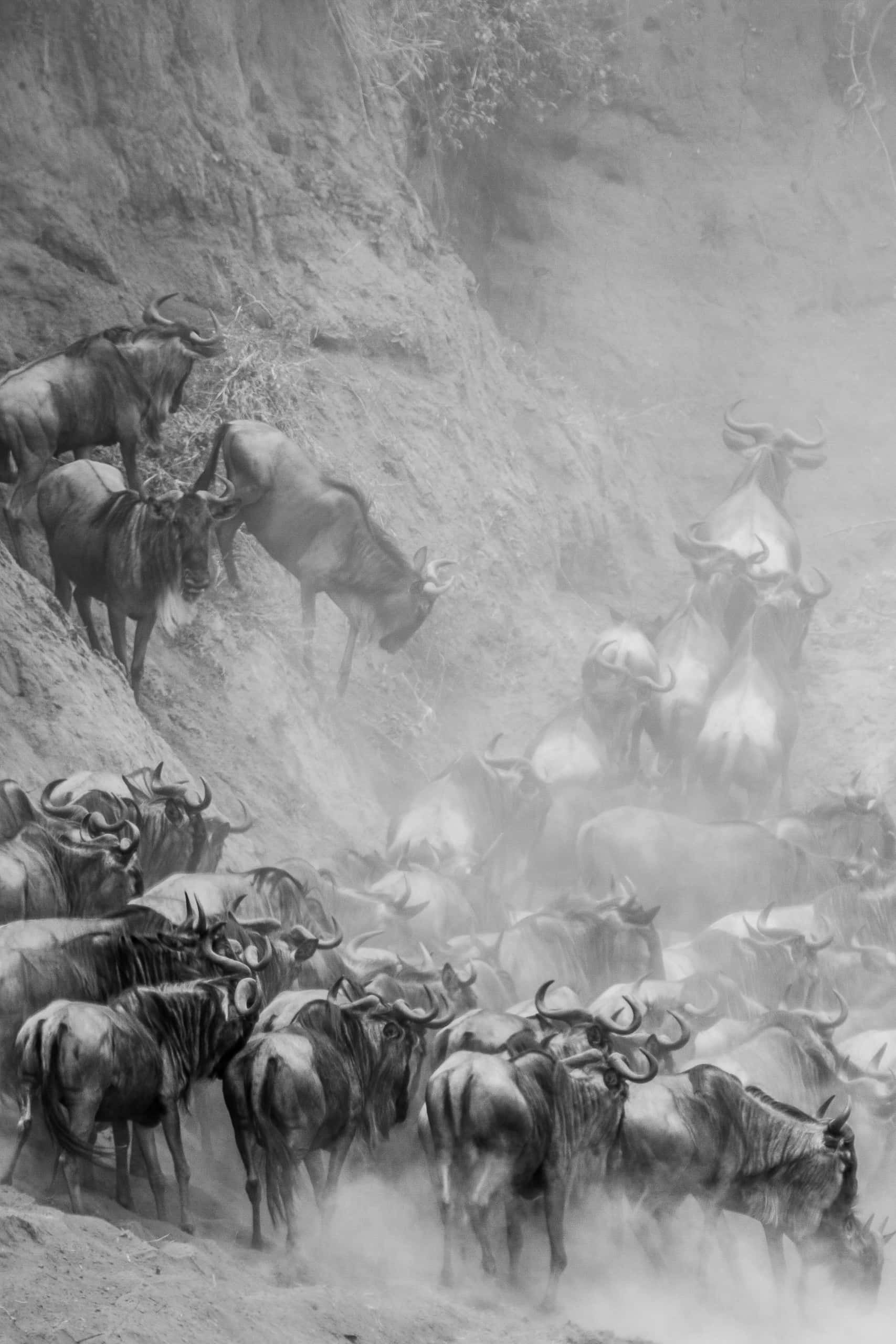 12352218082018230 ©SimonePaleari