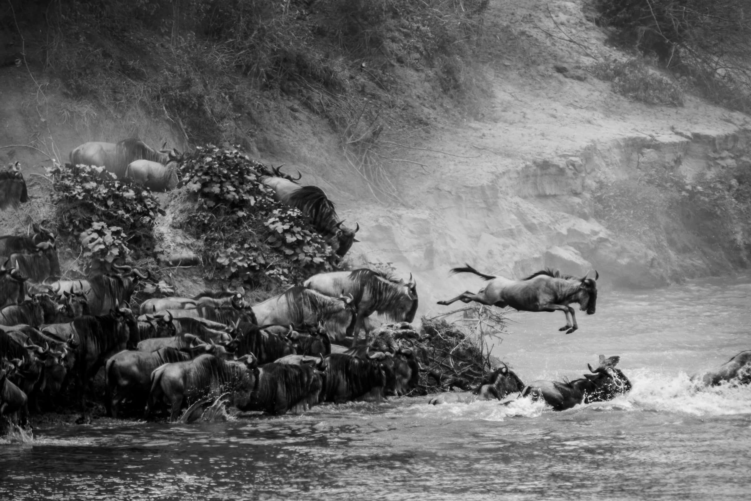 12353418082018230 ©SimonePaleari