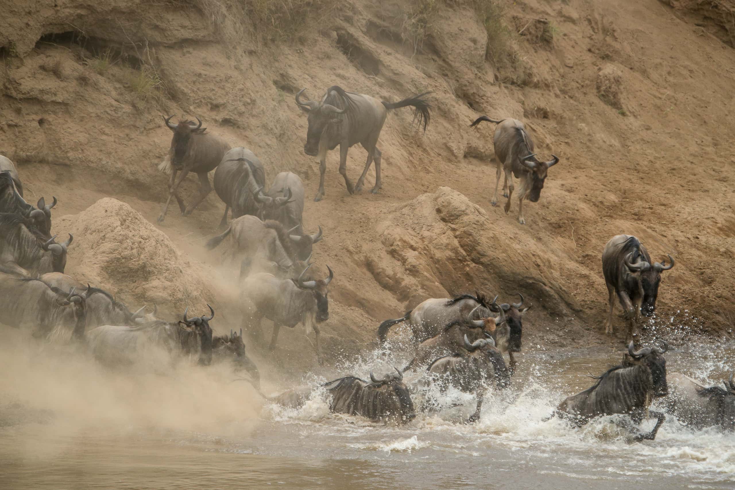 12421418082018230 ©SimonePaleari