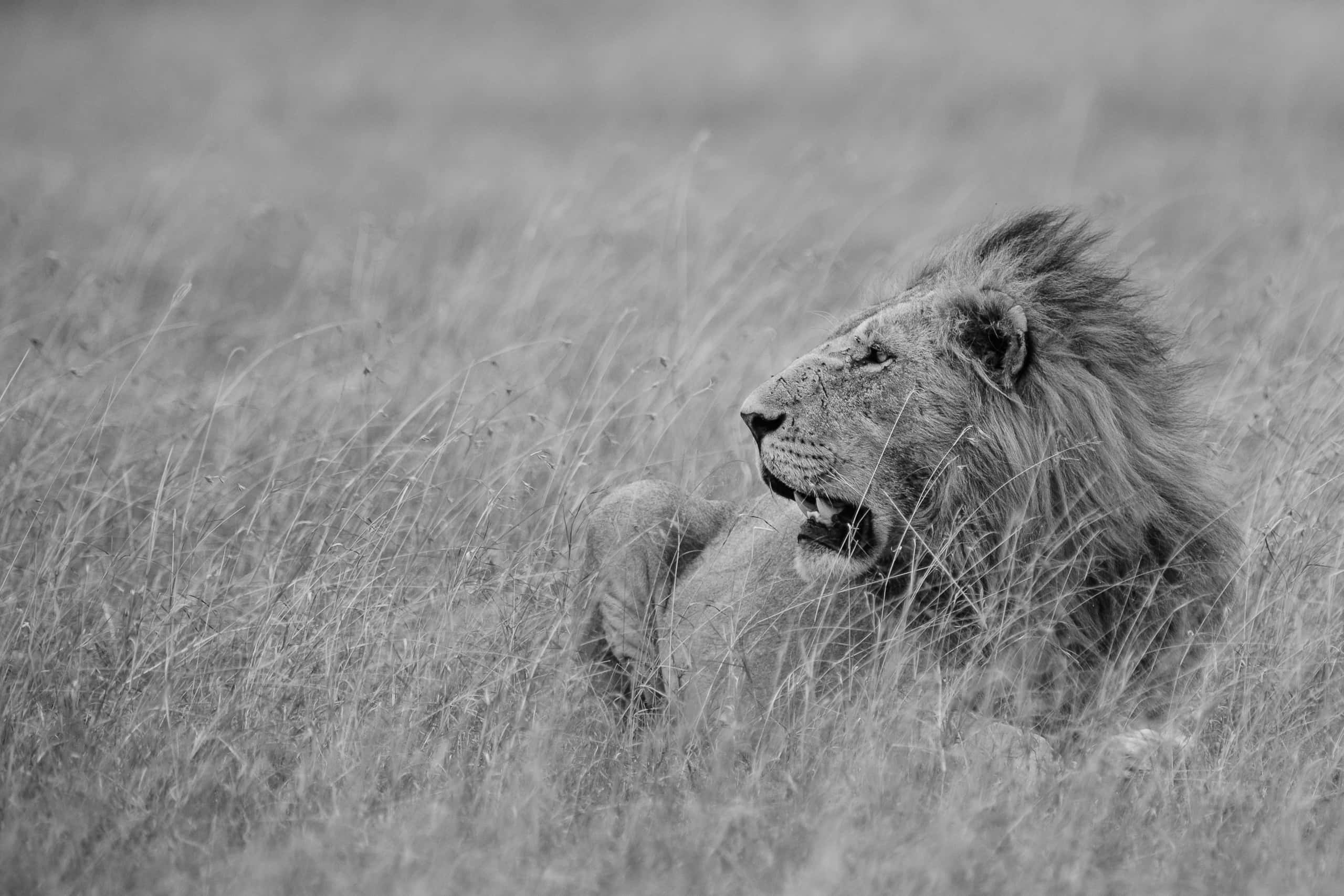 17331817082018229 ©SimonePaleari