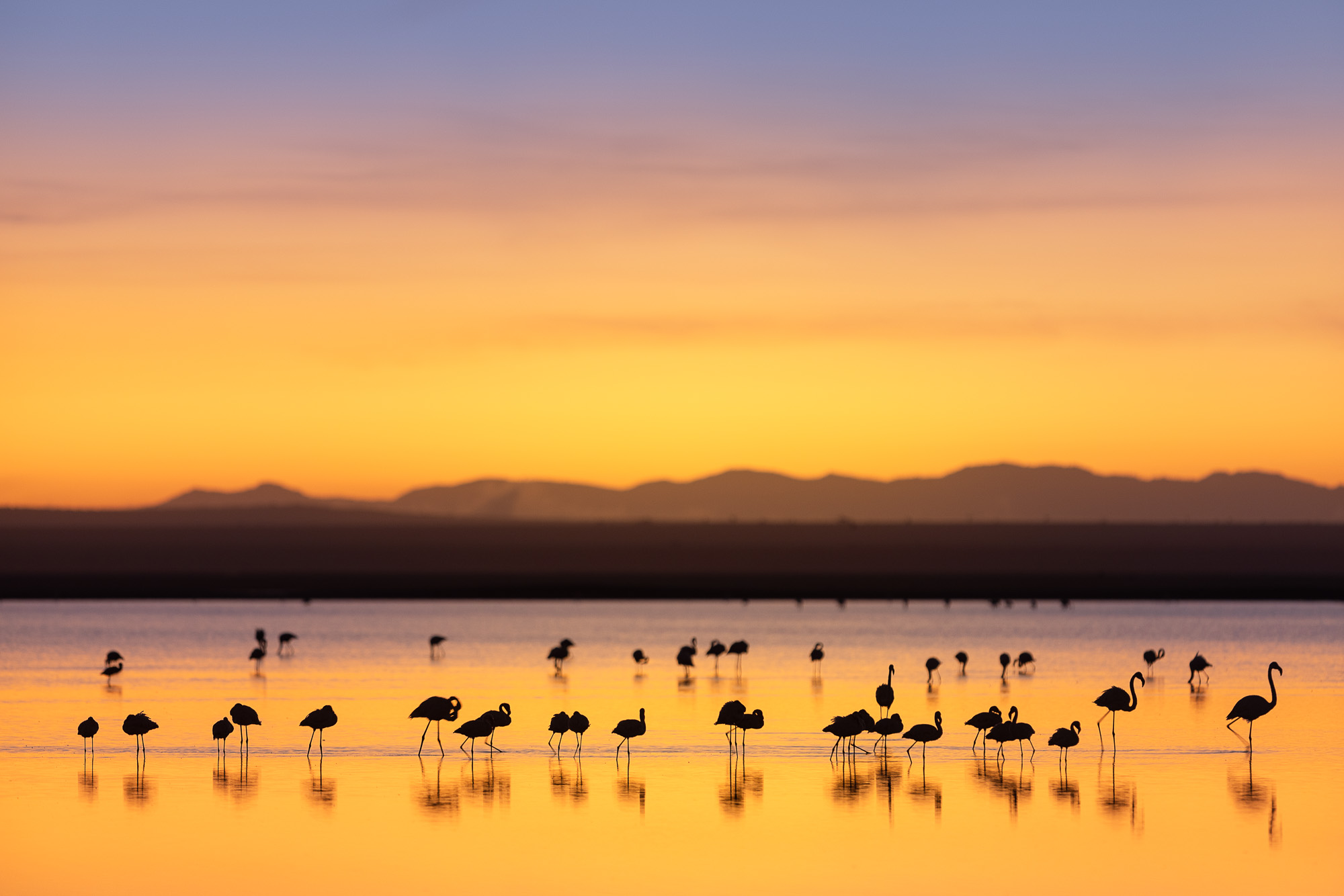 06060520082022232 ©SimonePaleari