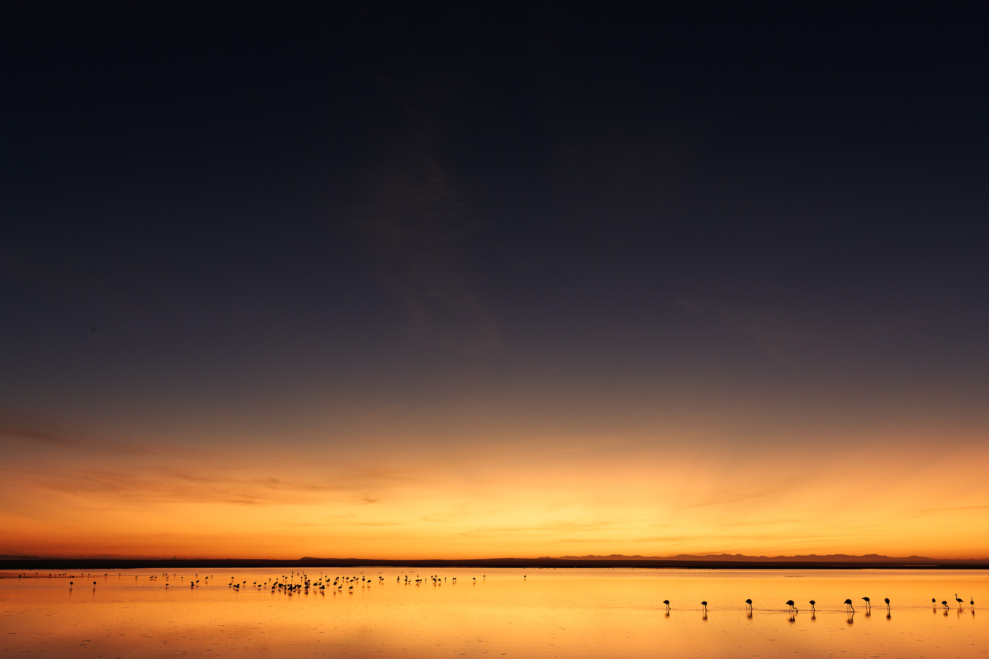 06103720082022232 ©SimonePaleari