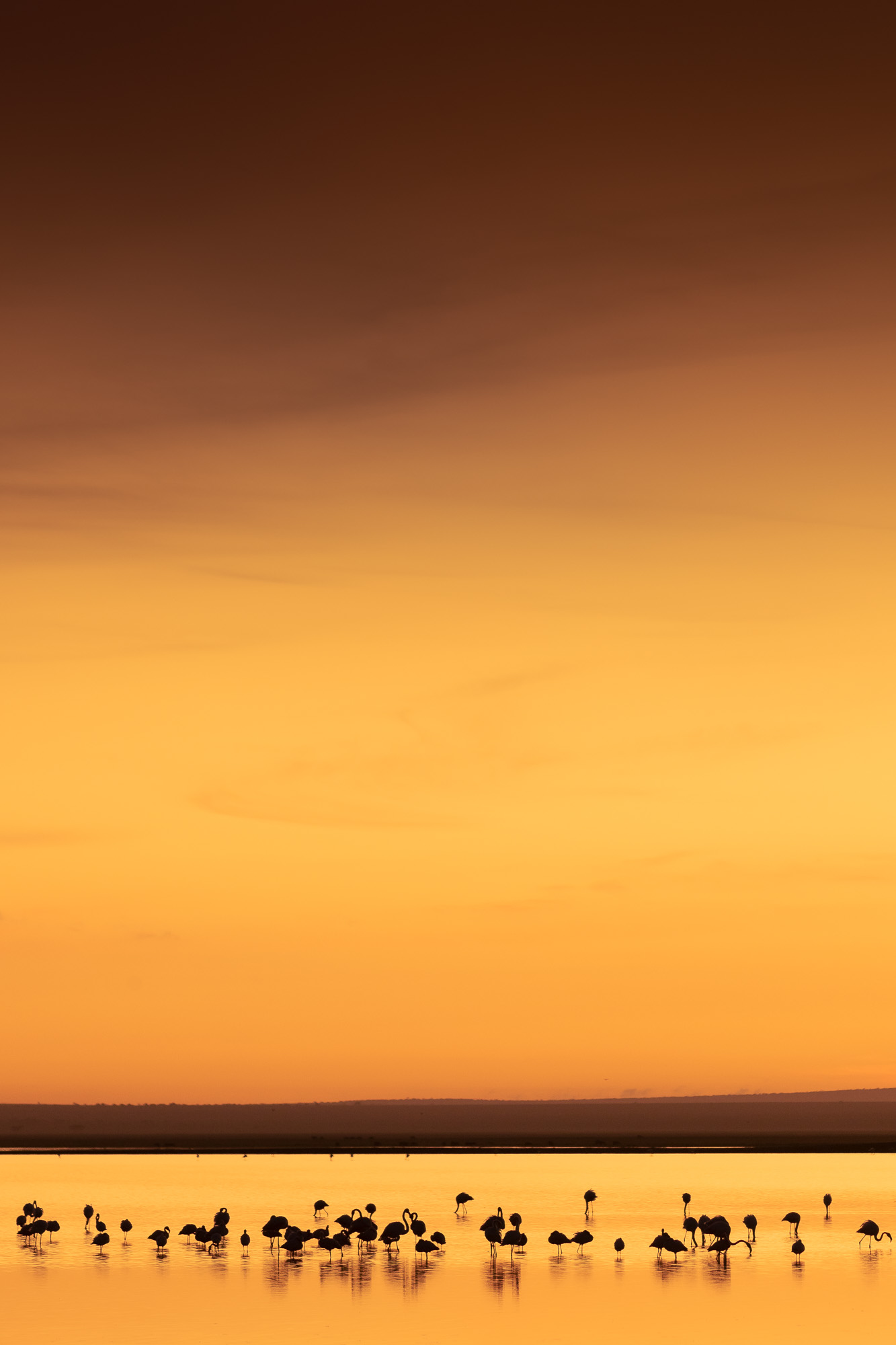 06153820082022232 ©SimonePaleari