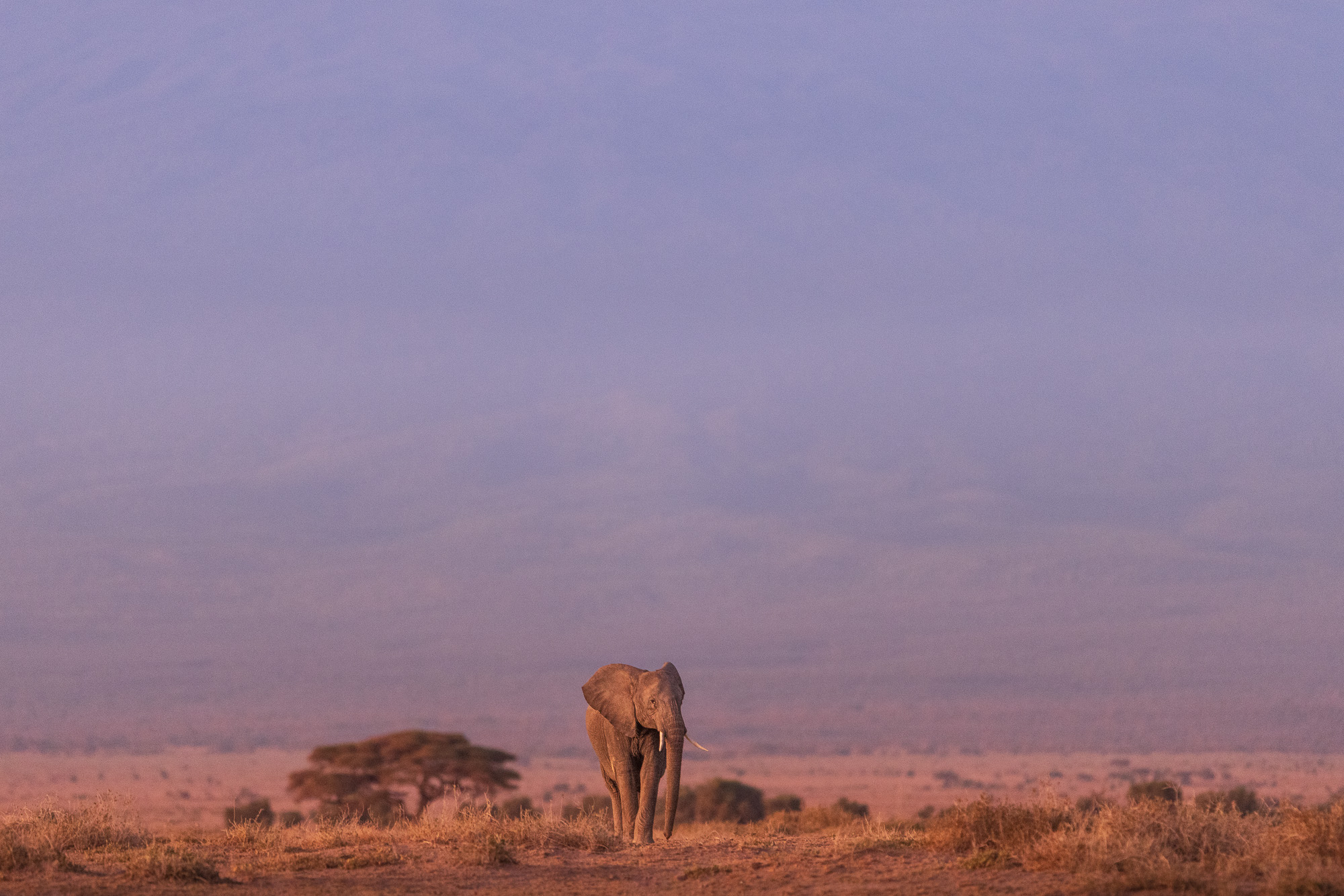 06155319082022231 ©SimonePaleari