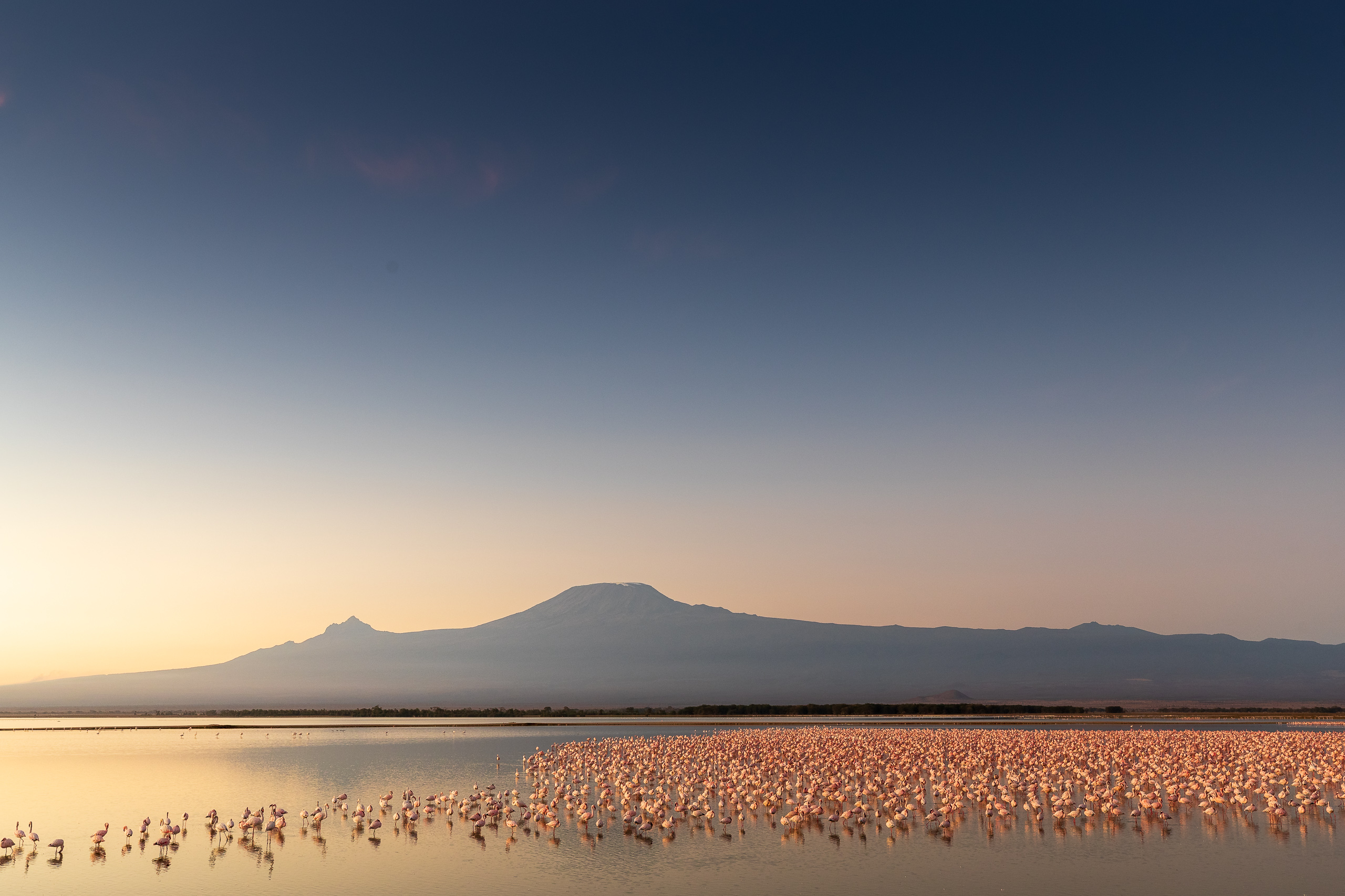 06231520082022232 ©SimonePaleari