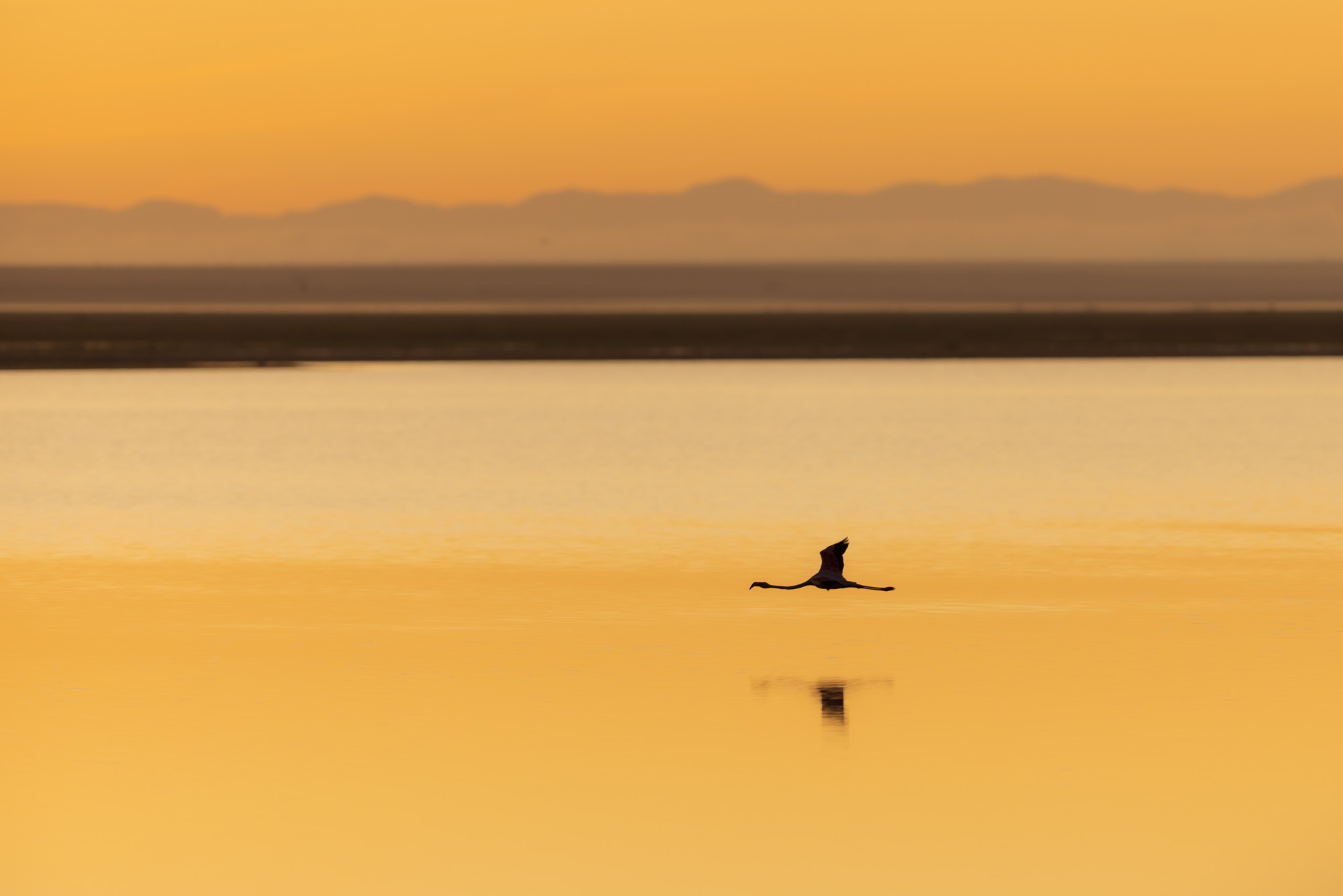 06241420082022232 ©SimonePaleari