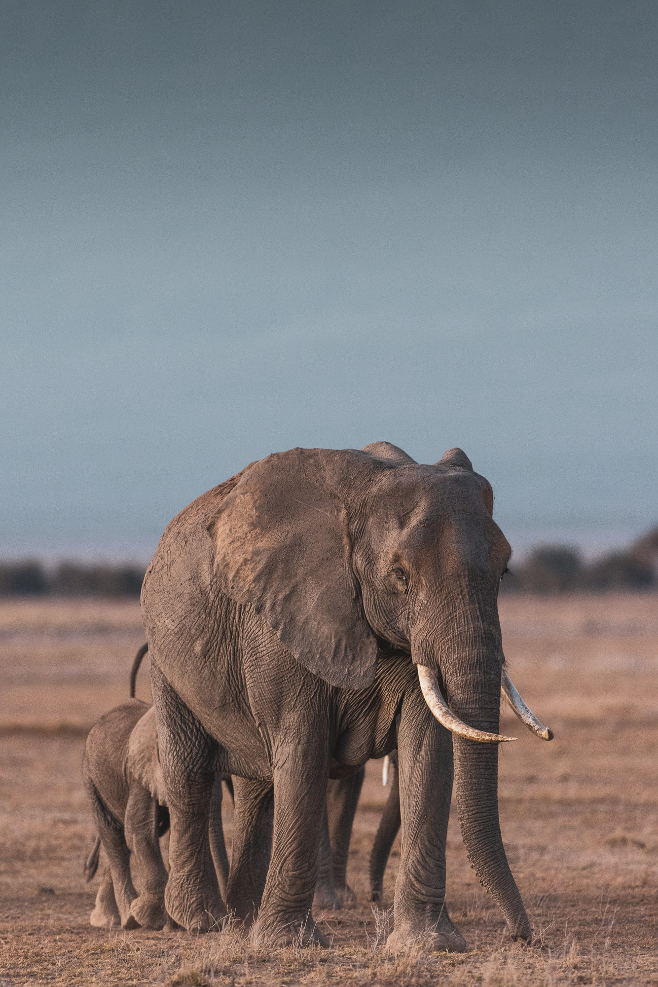 06265419082022231 ©SimonePaleari