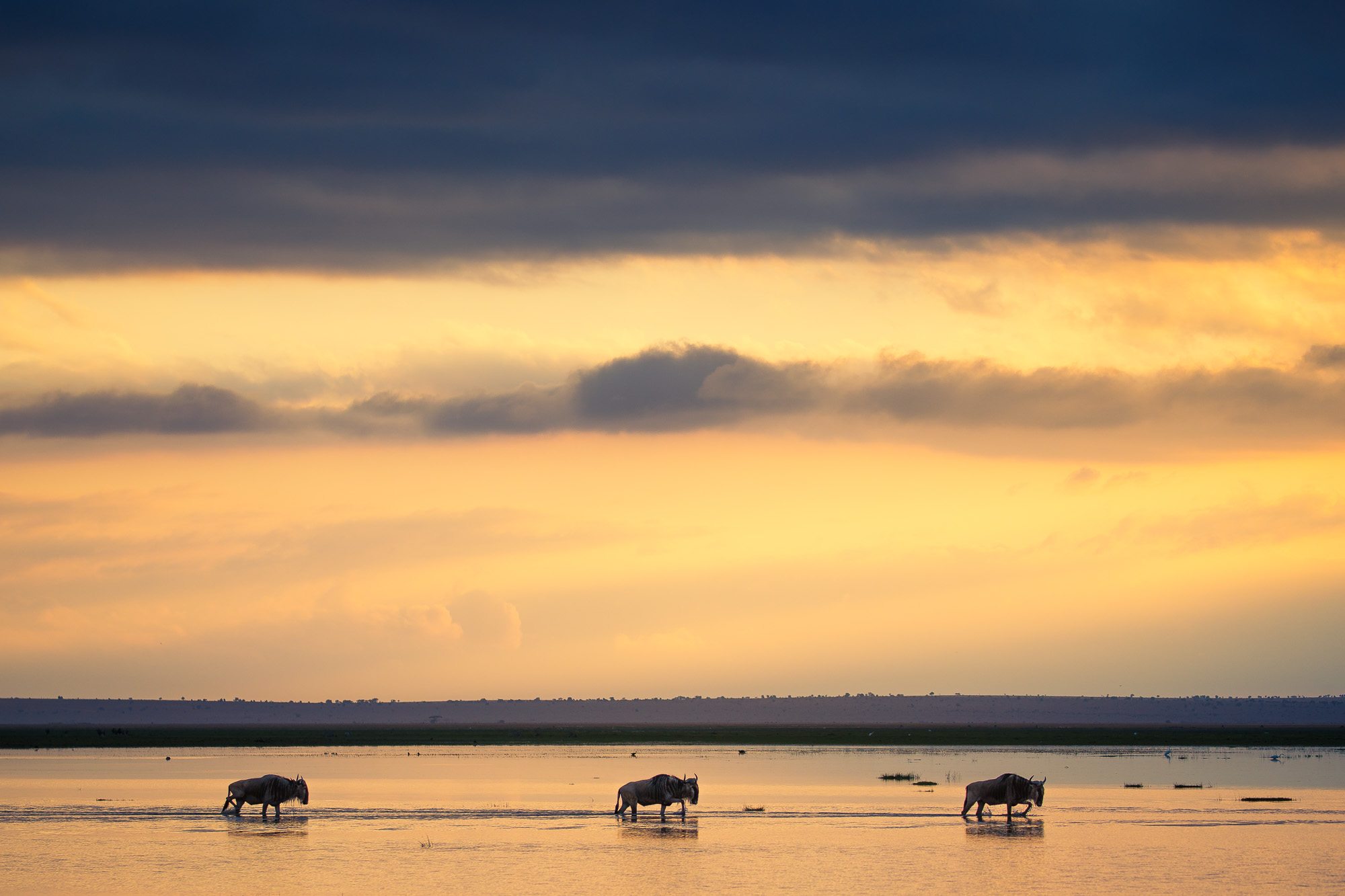 06550418082022230 ©SimonePaleari