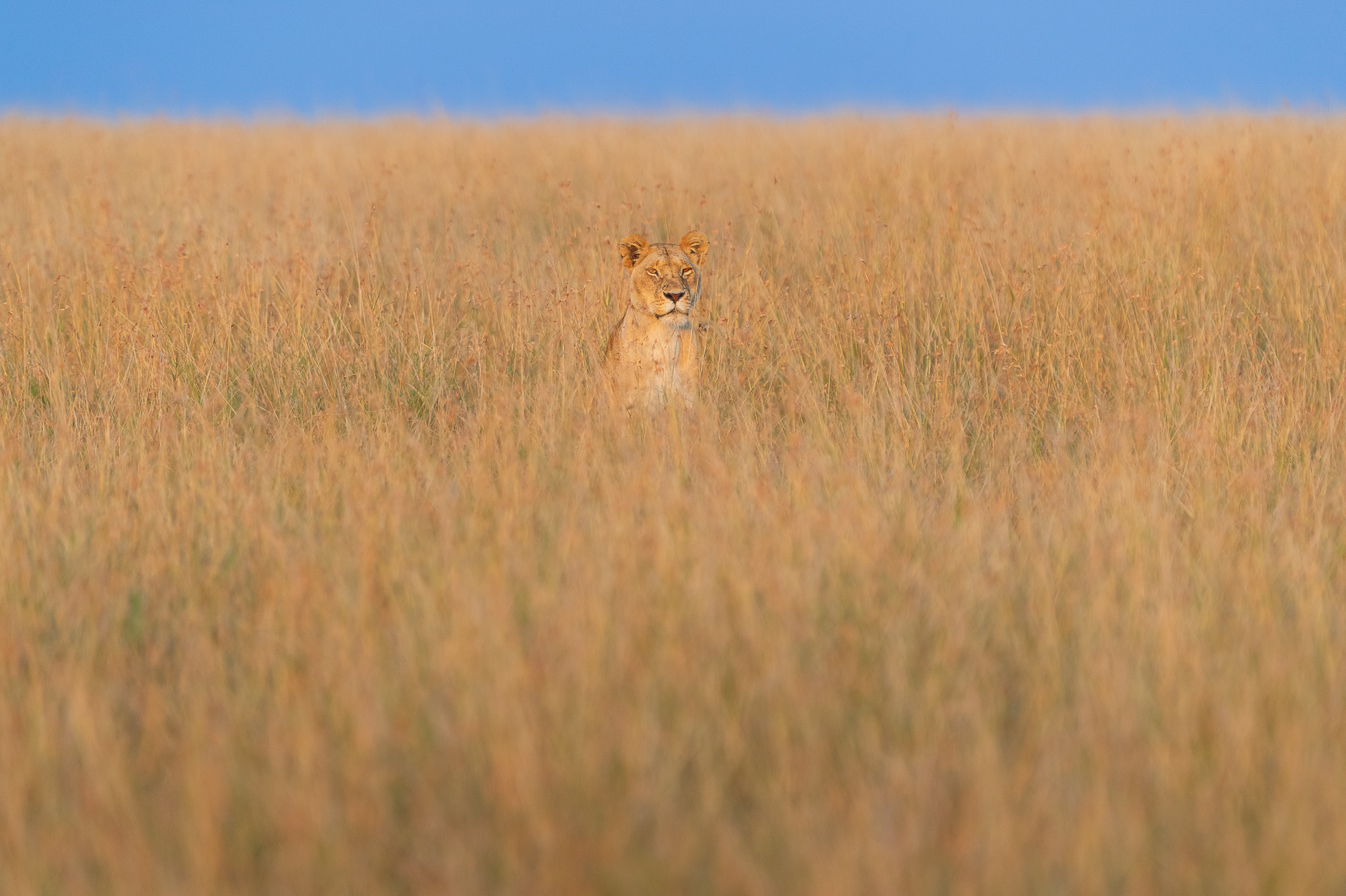 07002712082022224 ©SimonePaleari 2