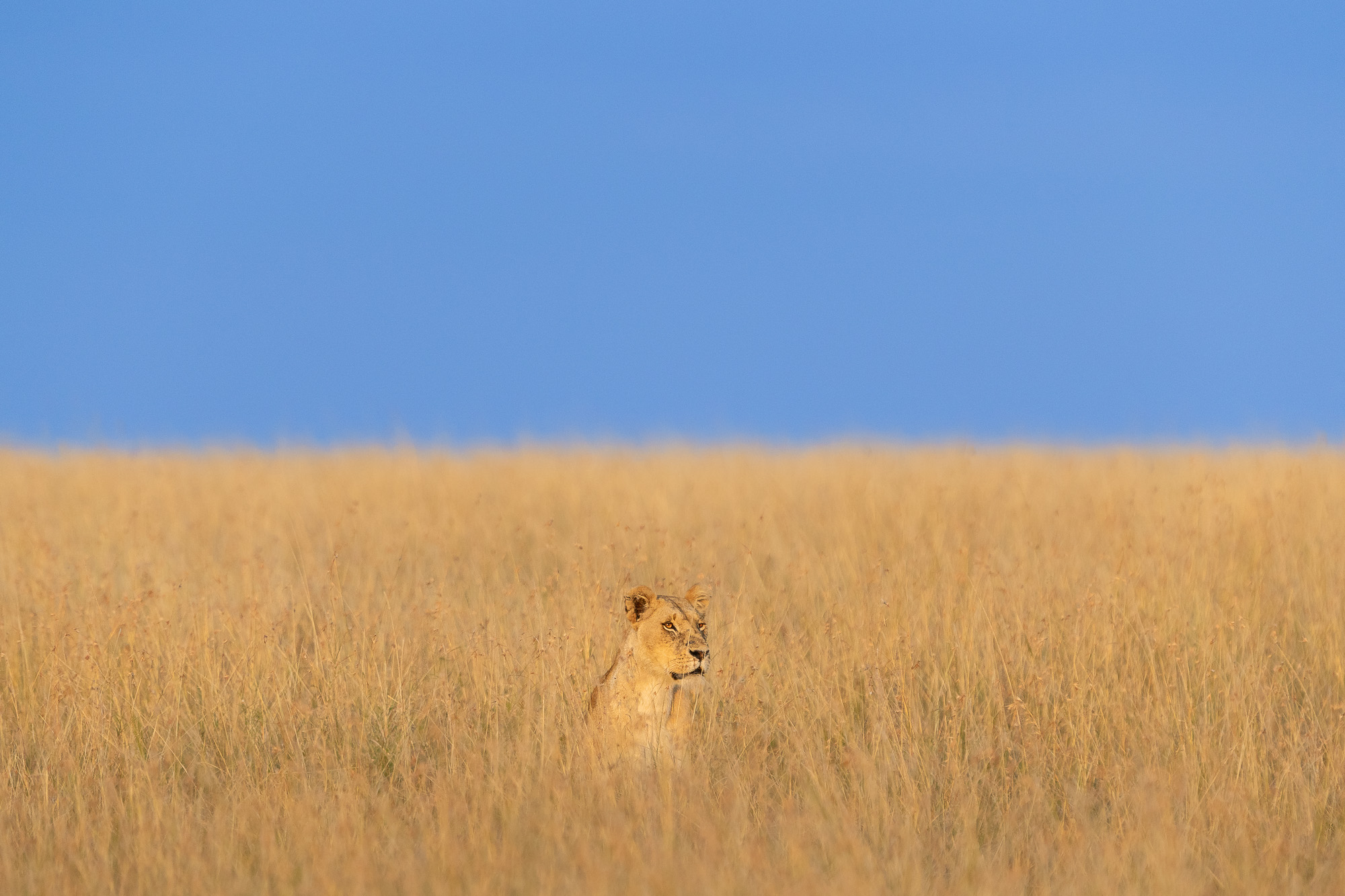 07003212082022224 ©SimonePaleari