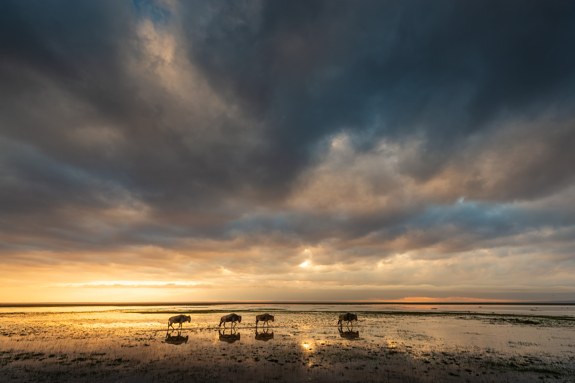 07012718082022230 ©SimonePaleari