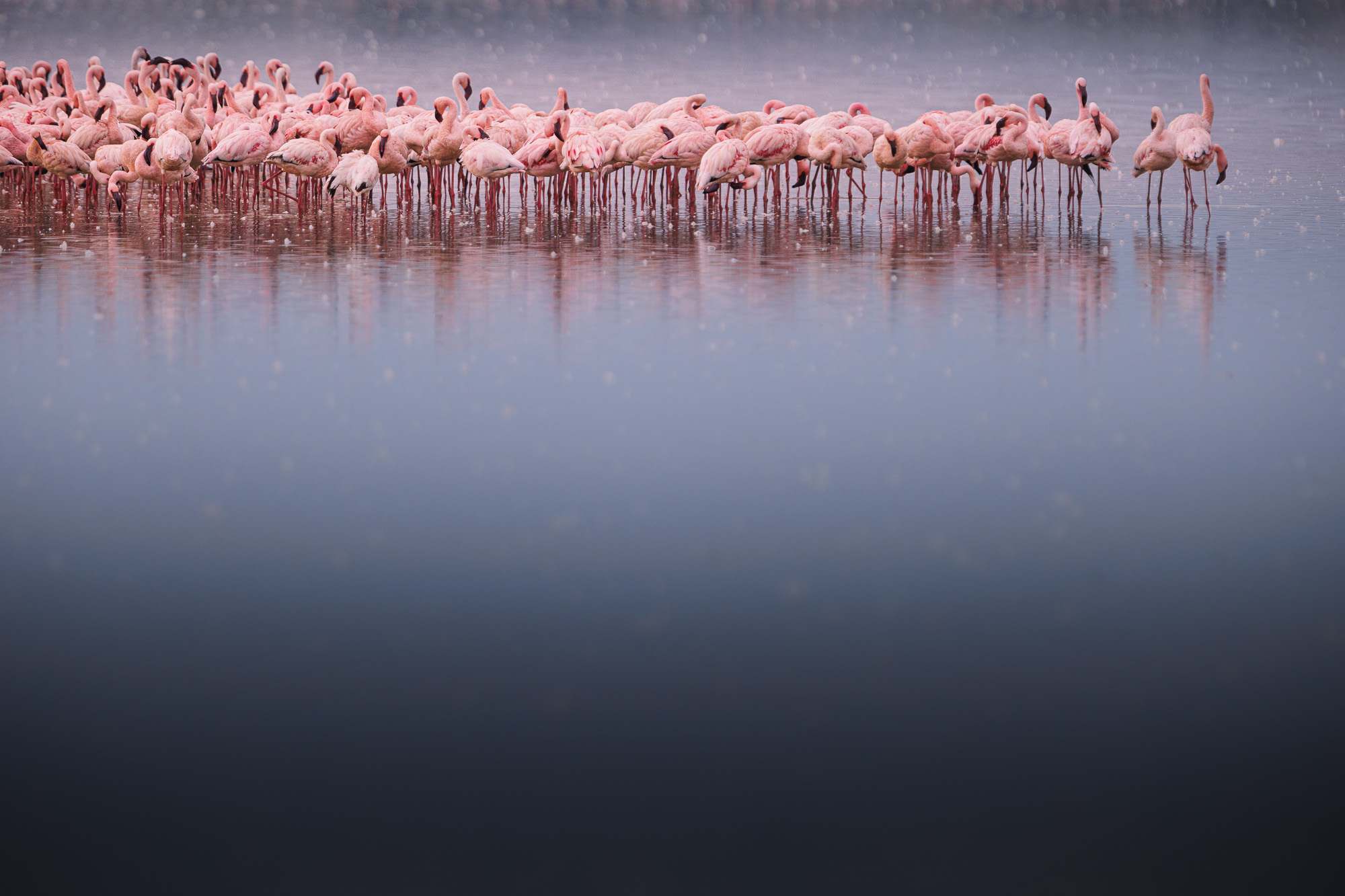 07192318082022230 ©SimonePaleari