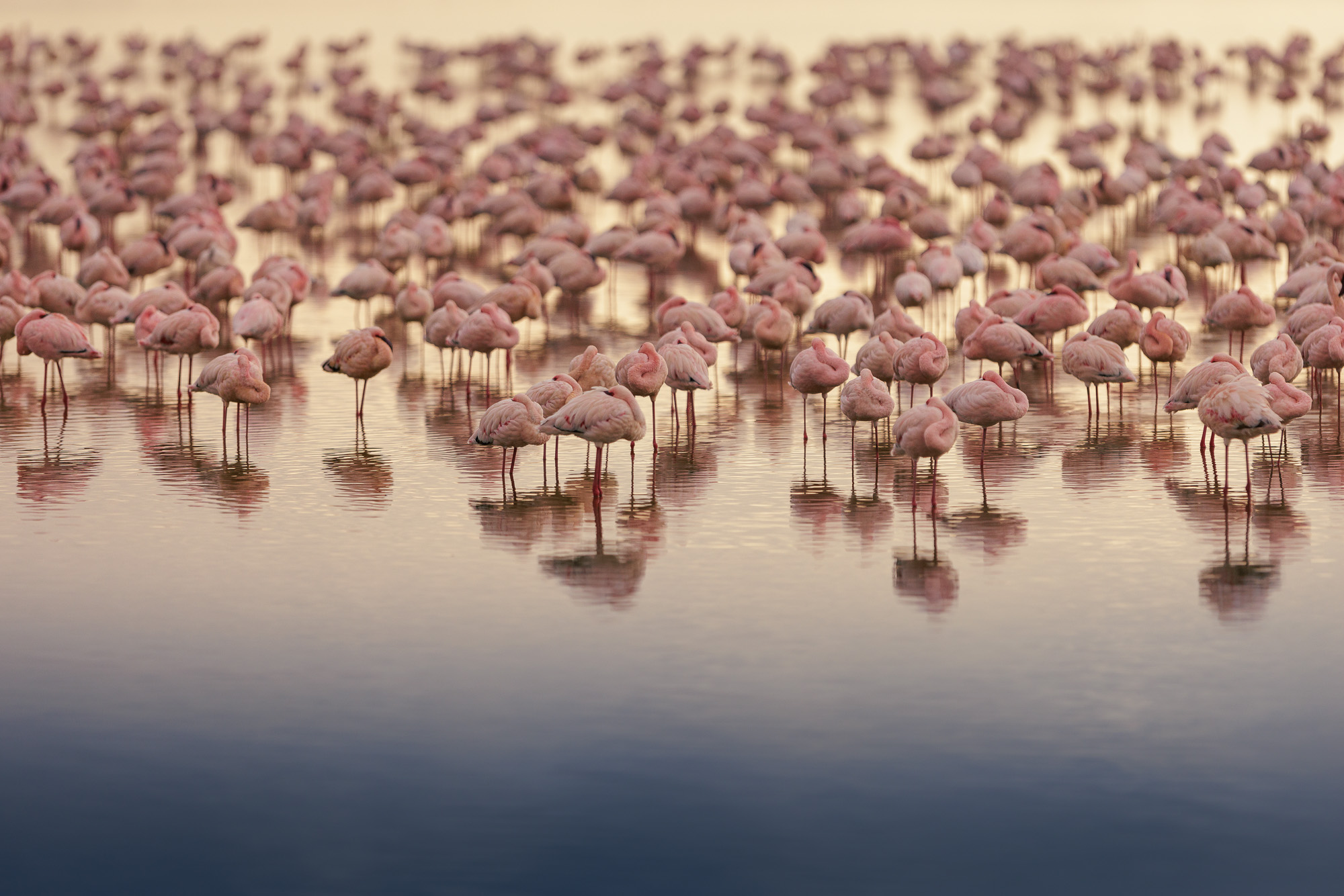 07204218082022230 ©SimonePaleari