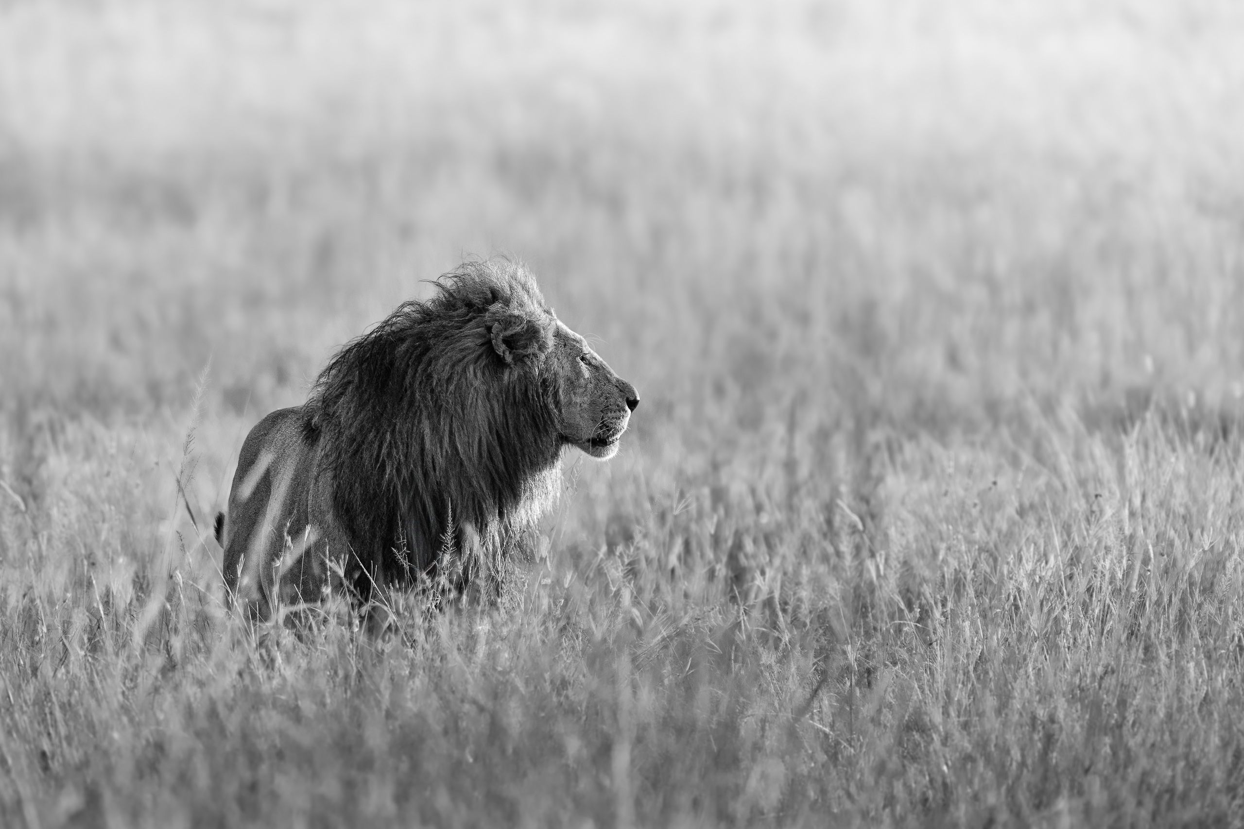 07212512082022224 ©SimonePaleari