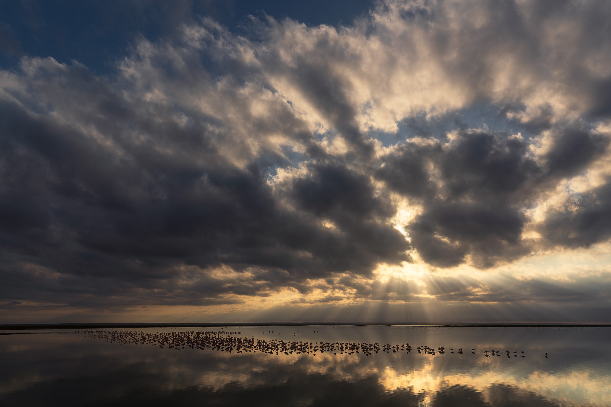 07250418082022230 ©SimonePaleari