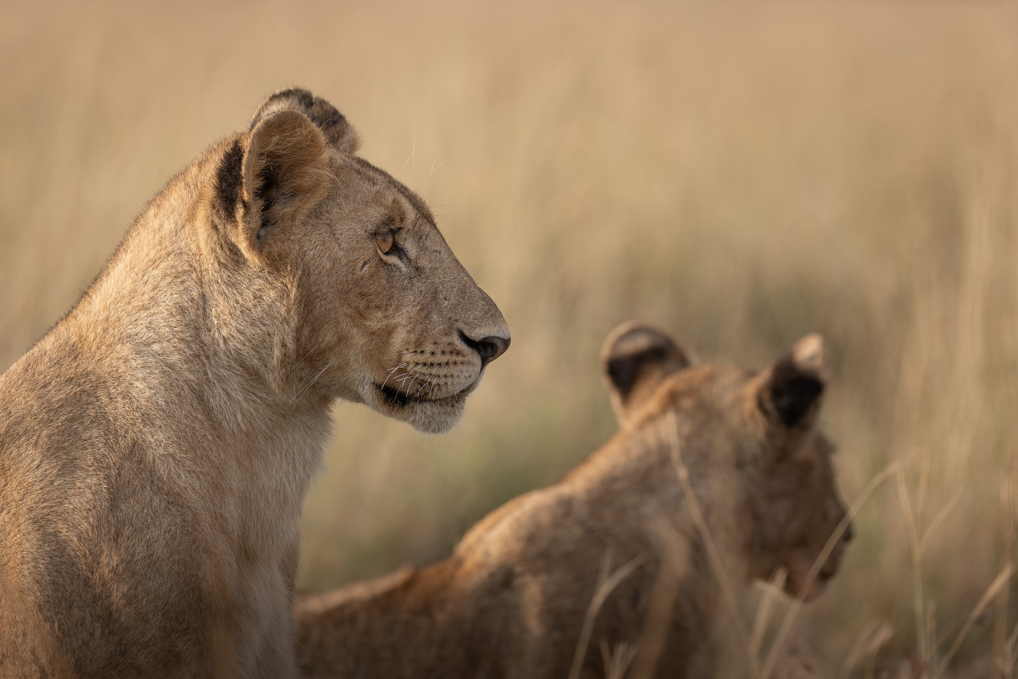 07305812082022224 ©SimonePaleari