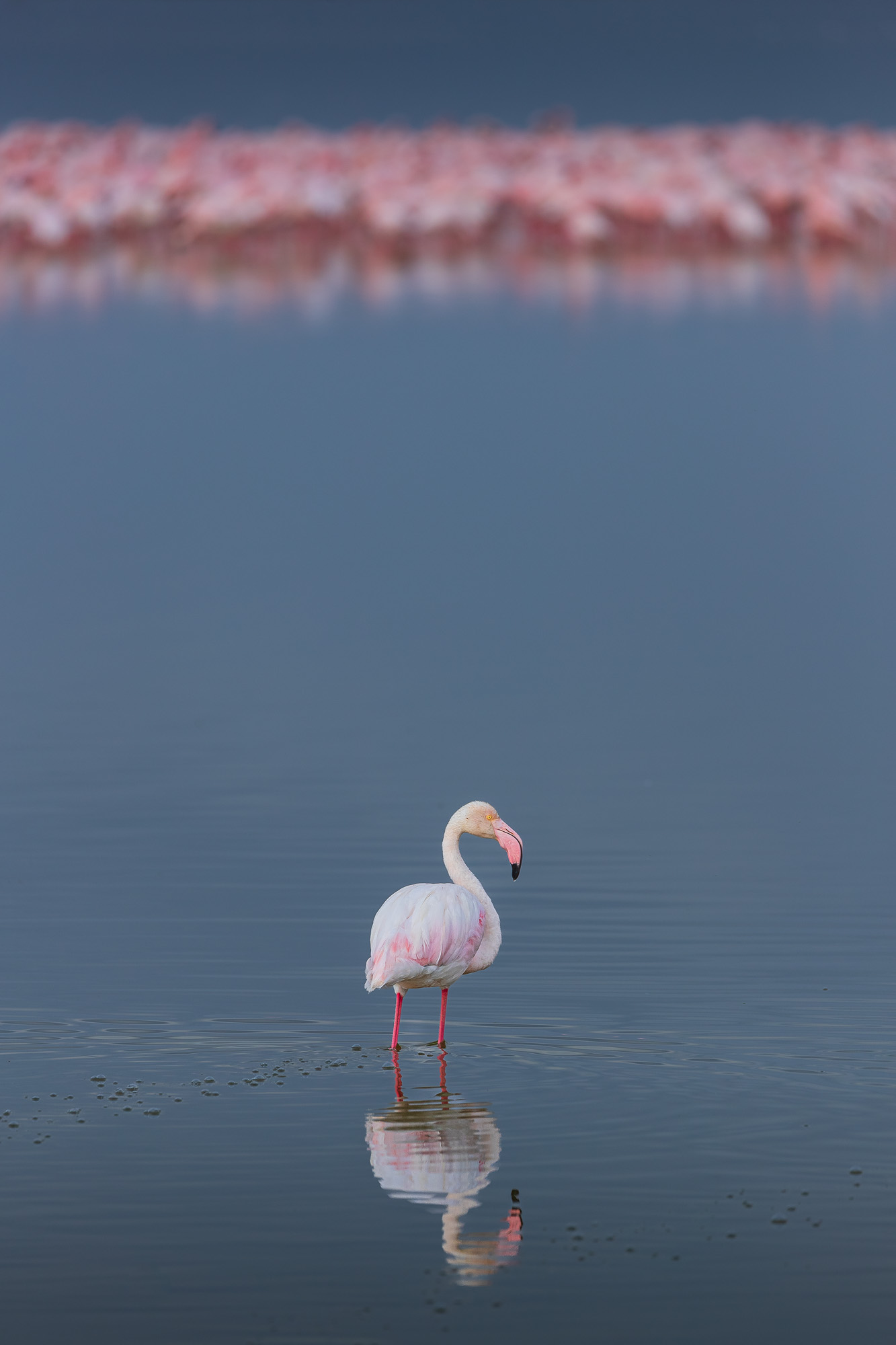 07442218082022230 ©SimonePaleari