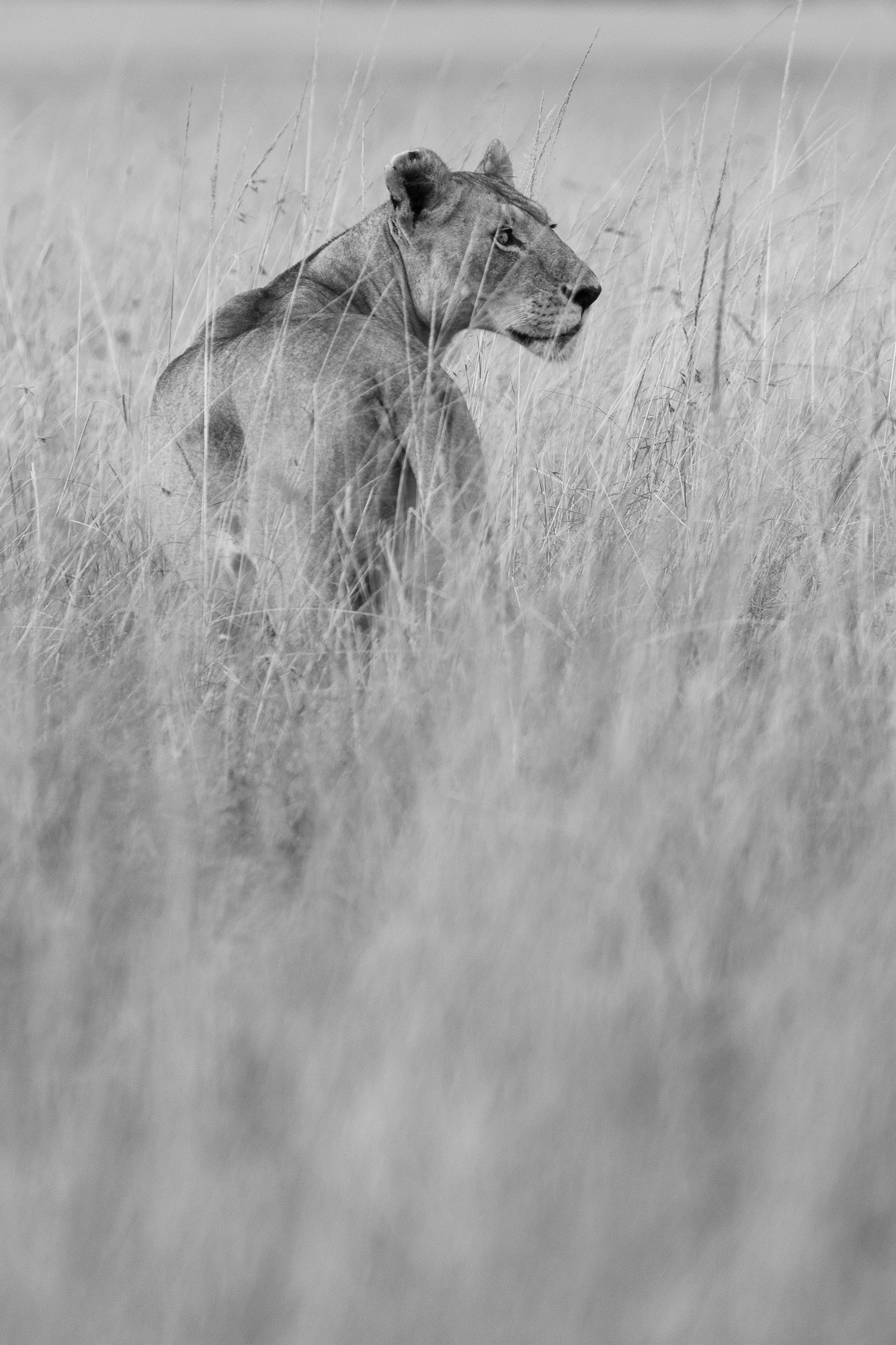 07491512082022224 ©SimonePaleari