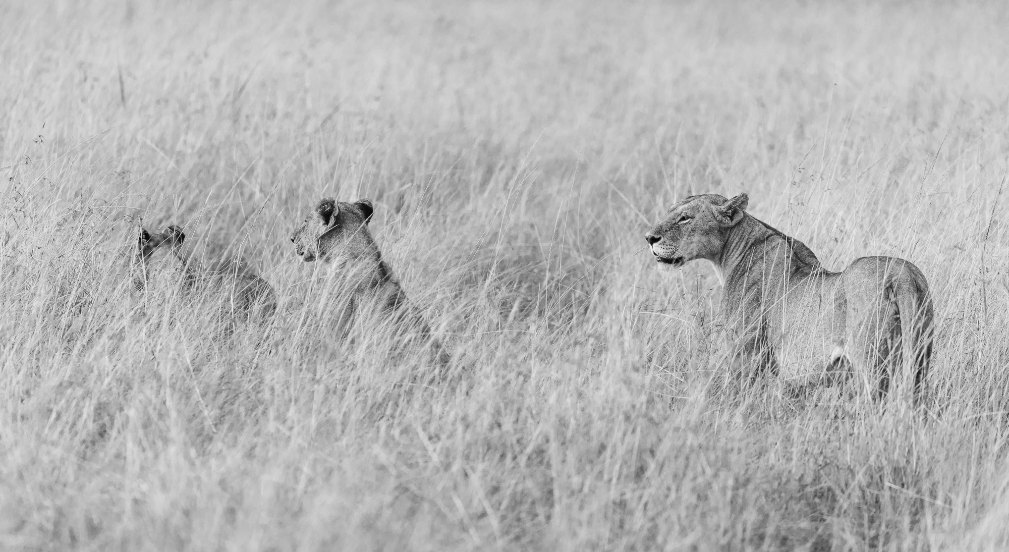 07510412082022224 ©SimonePaleari