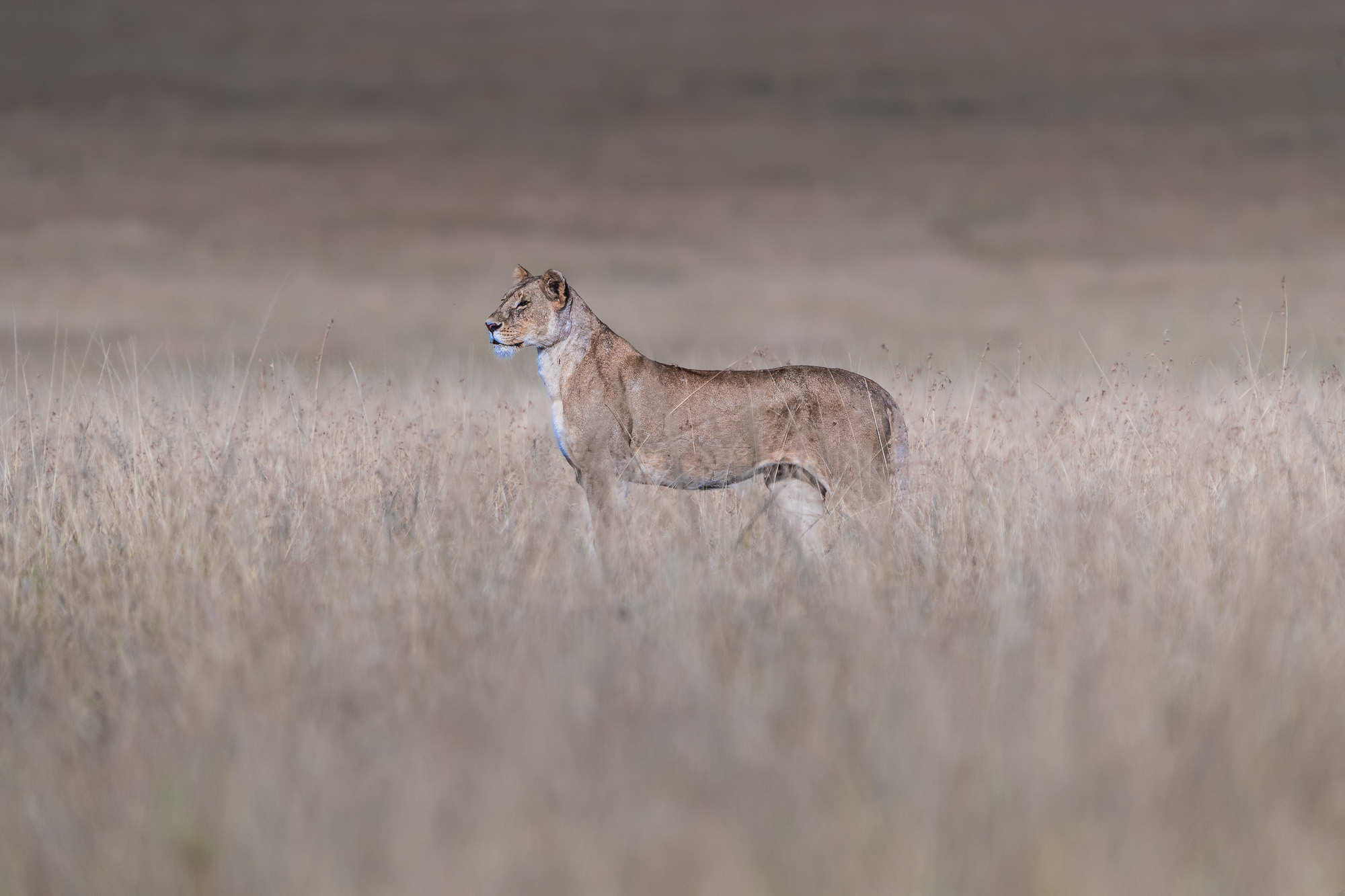 08164312082022224 ©SimonePaleari