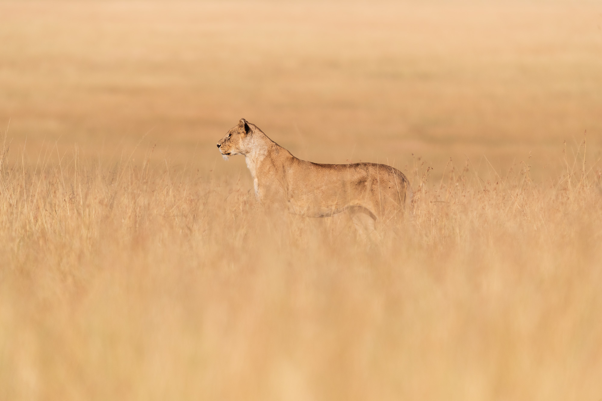 08165312082022224 ©SimonePaleari