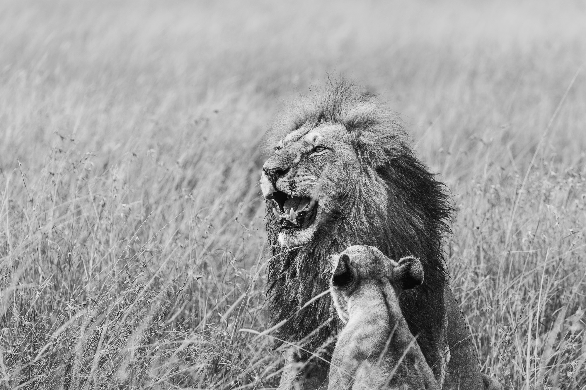 08173513082022225 ©SimonePaleari