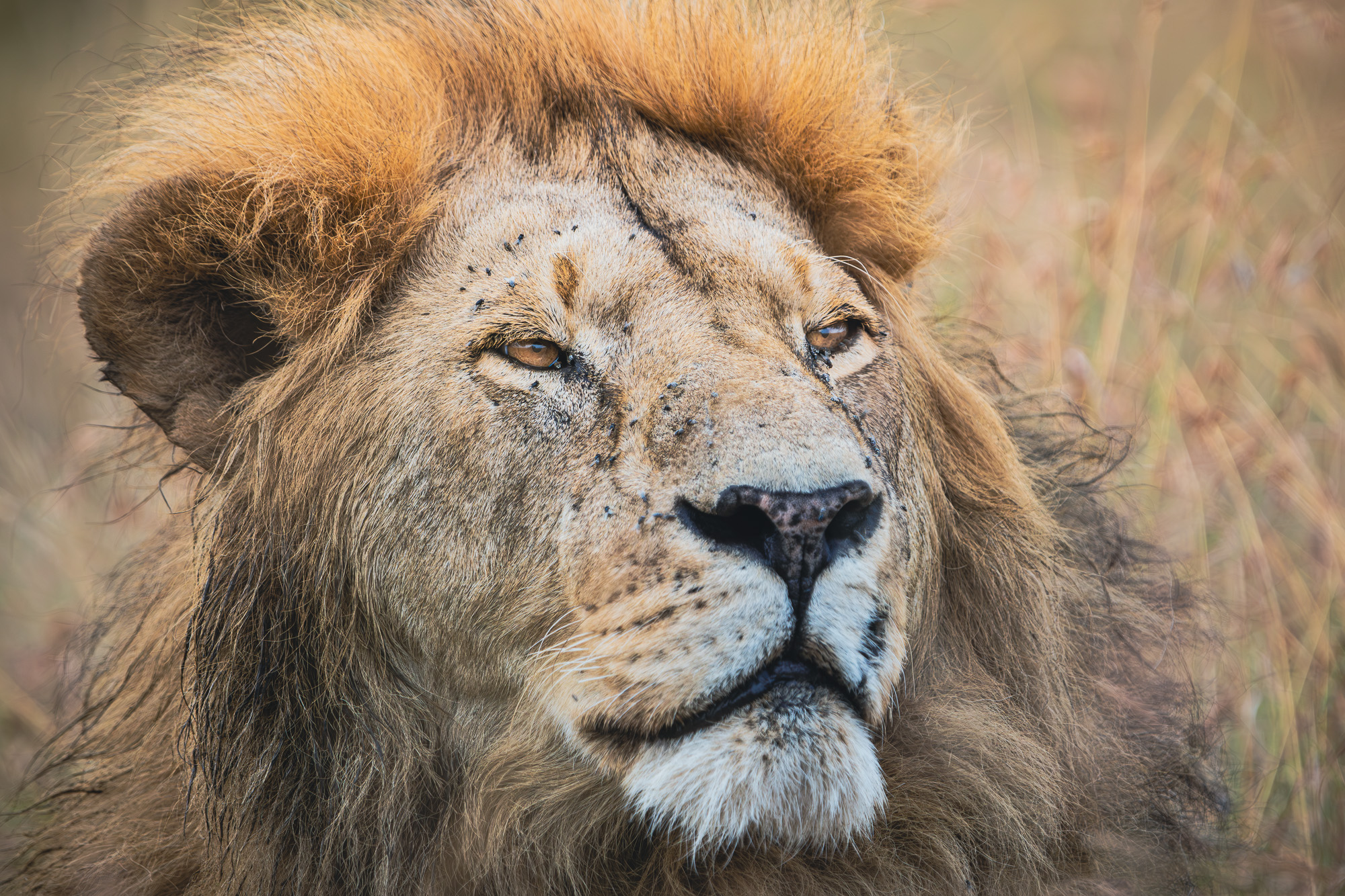 08190216082022228 ©SimonePaleari