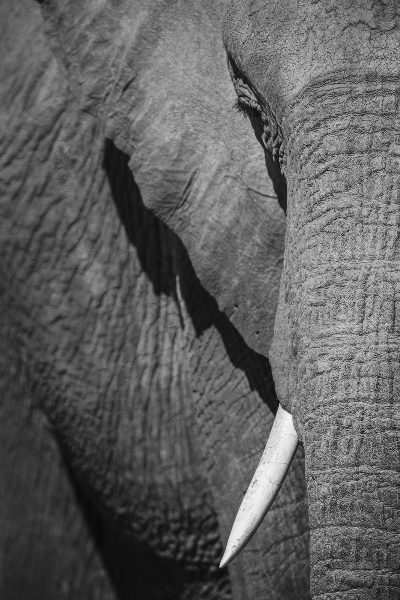 09060719082022231 ©SimonePaleari