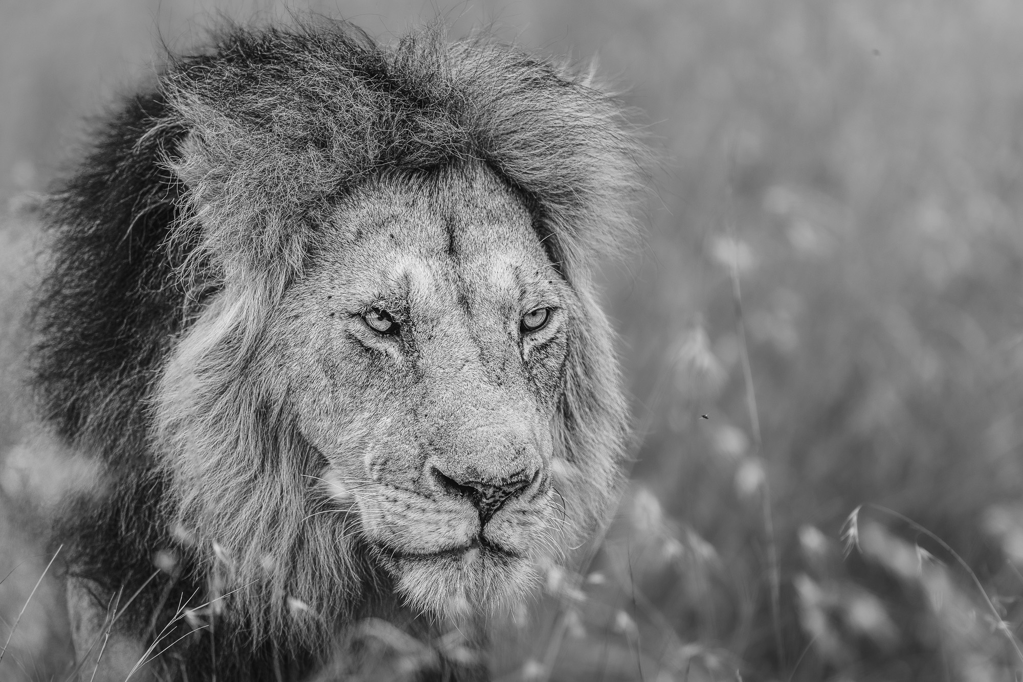 09145715082022227 ©SimonePaleari