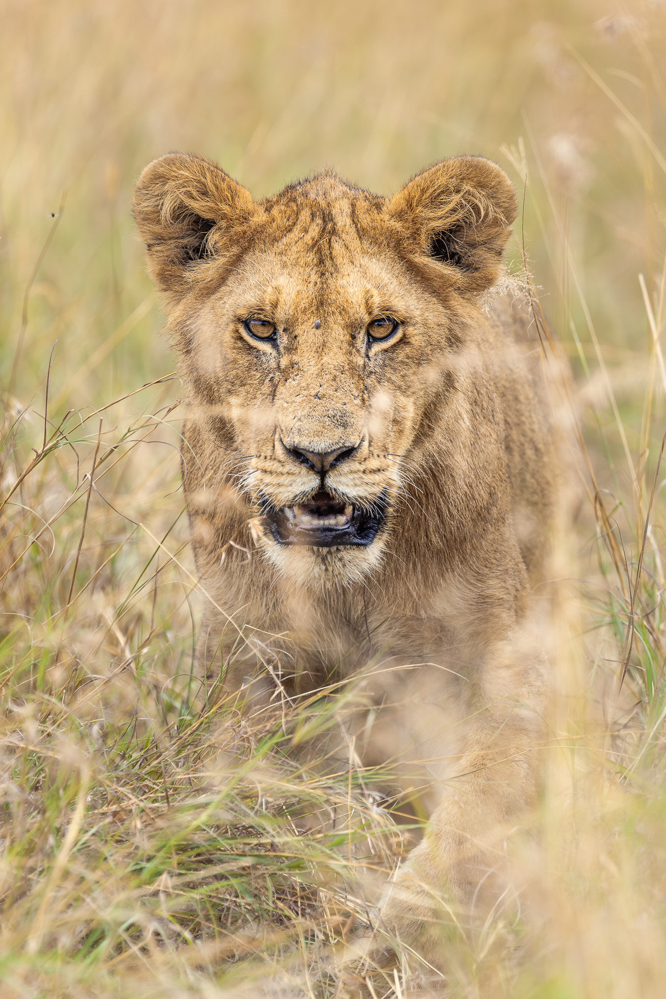 09155013082022225 ©SimonePaleari