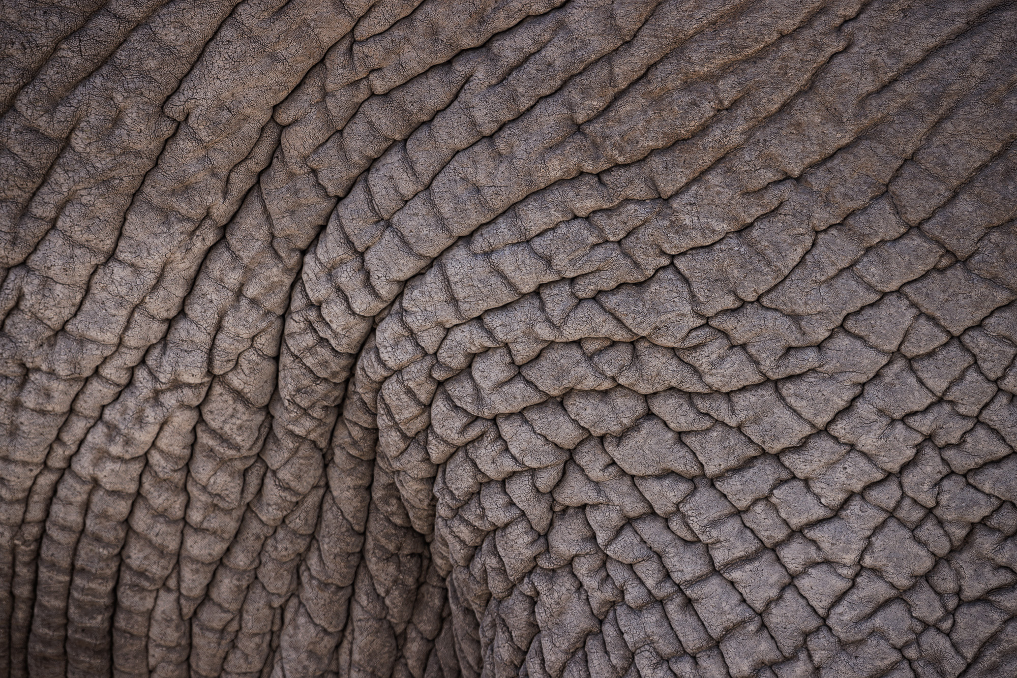 09223220082022232 ©SimonePaleari