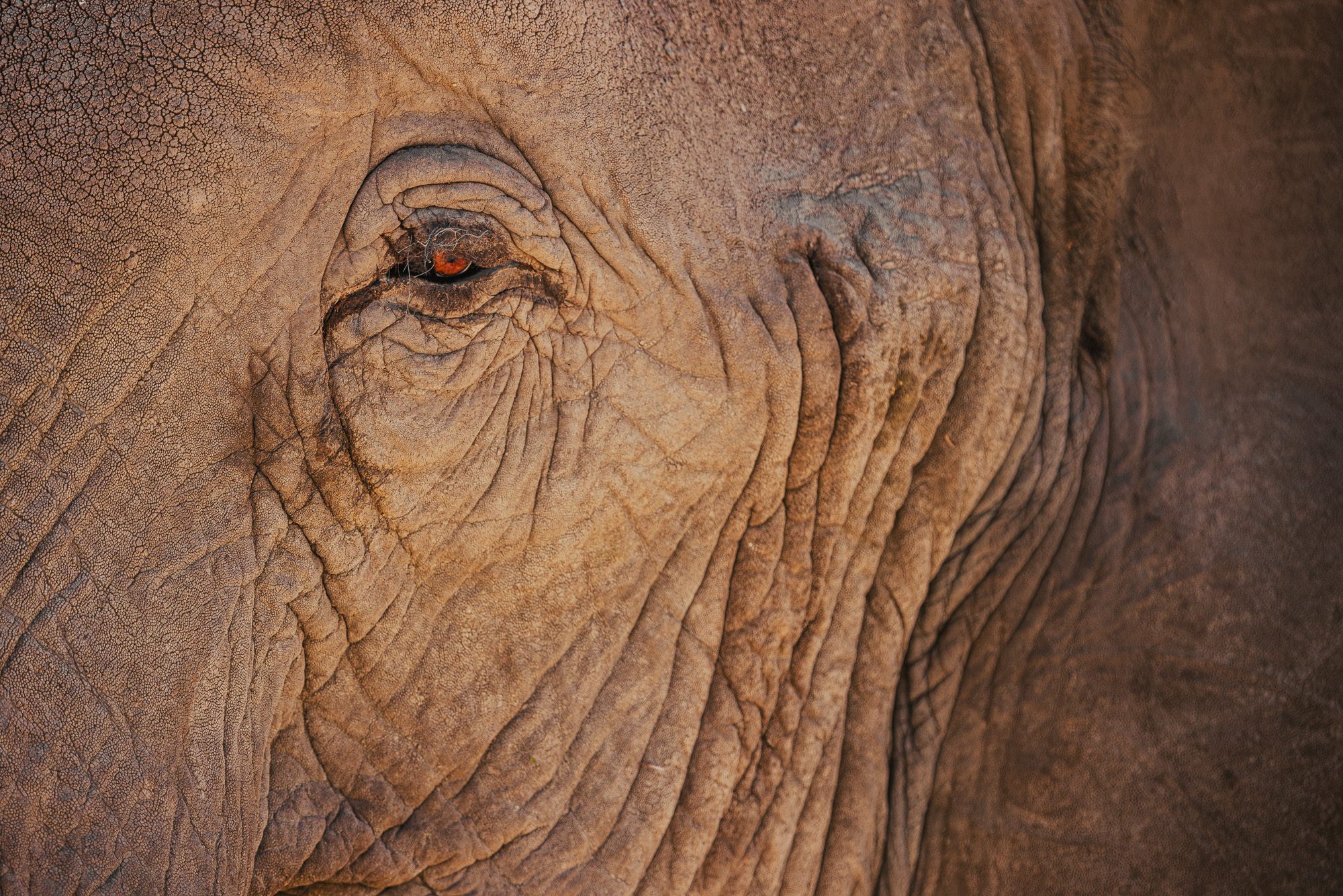 09403320082022232 ©SimonePaleari