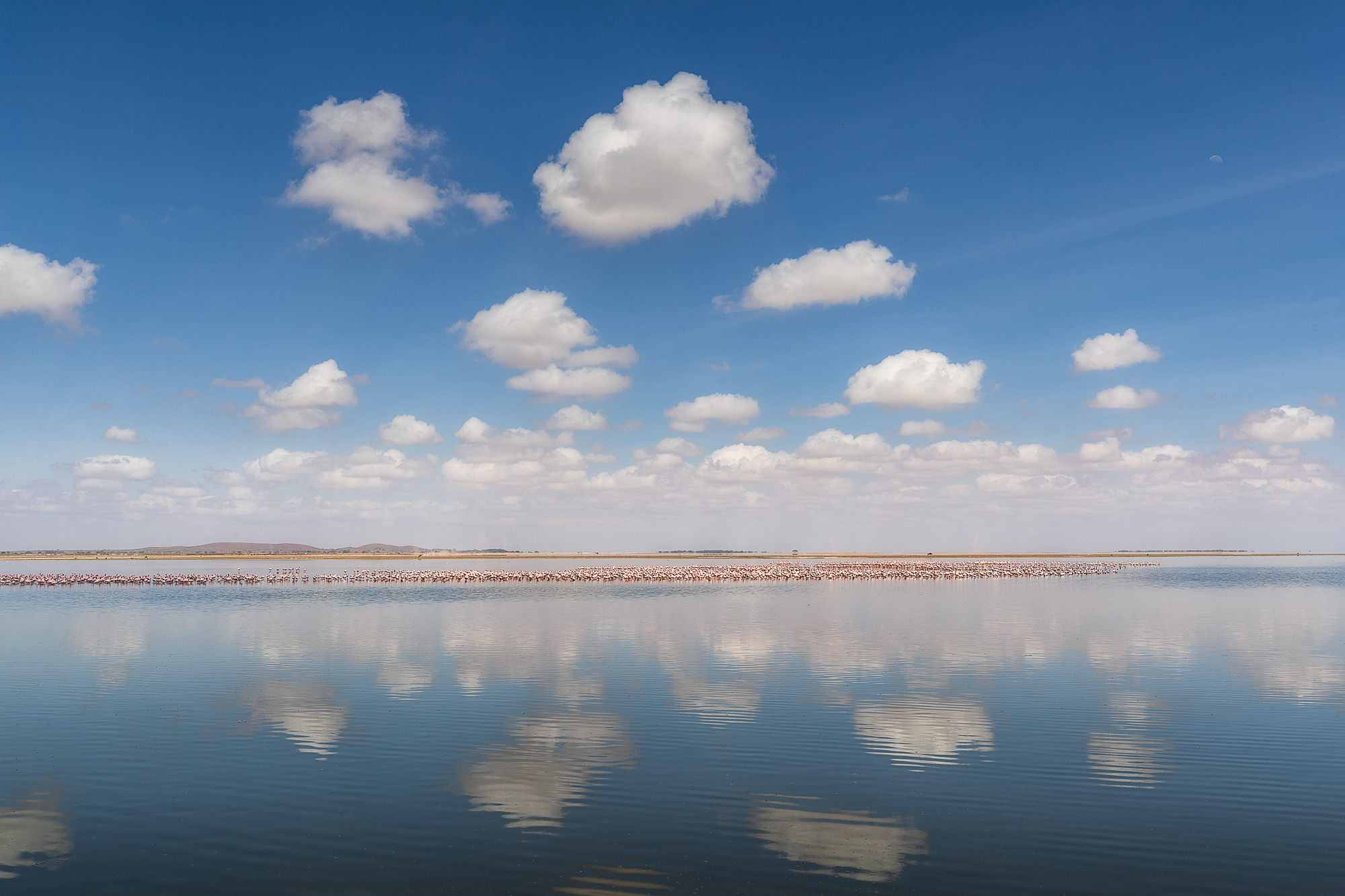 10204518082022230 ©SimonePaleari