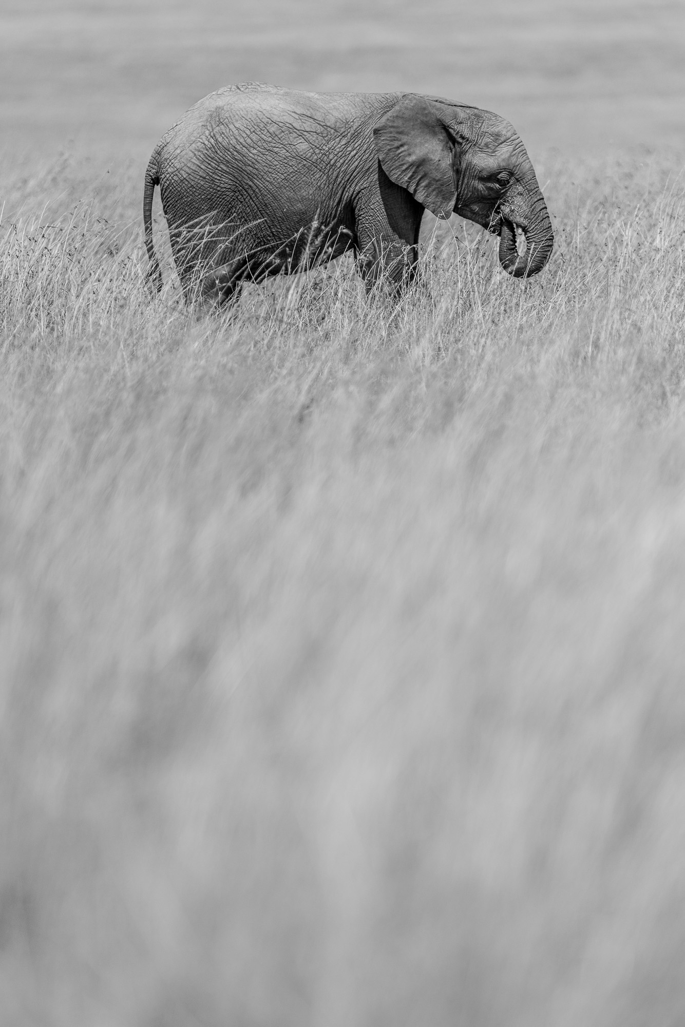 10404312082022224 ©SimonePaleari