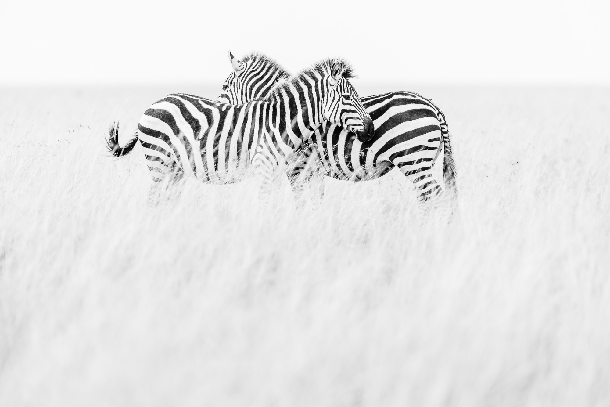 11022015082022227 ©SimonePaleari