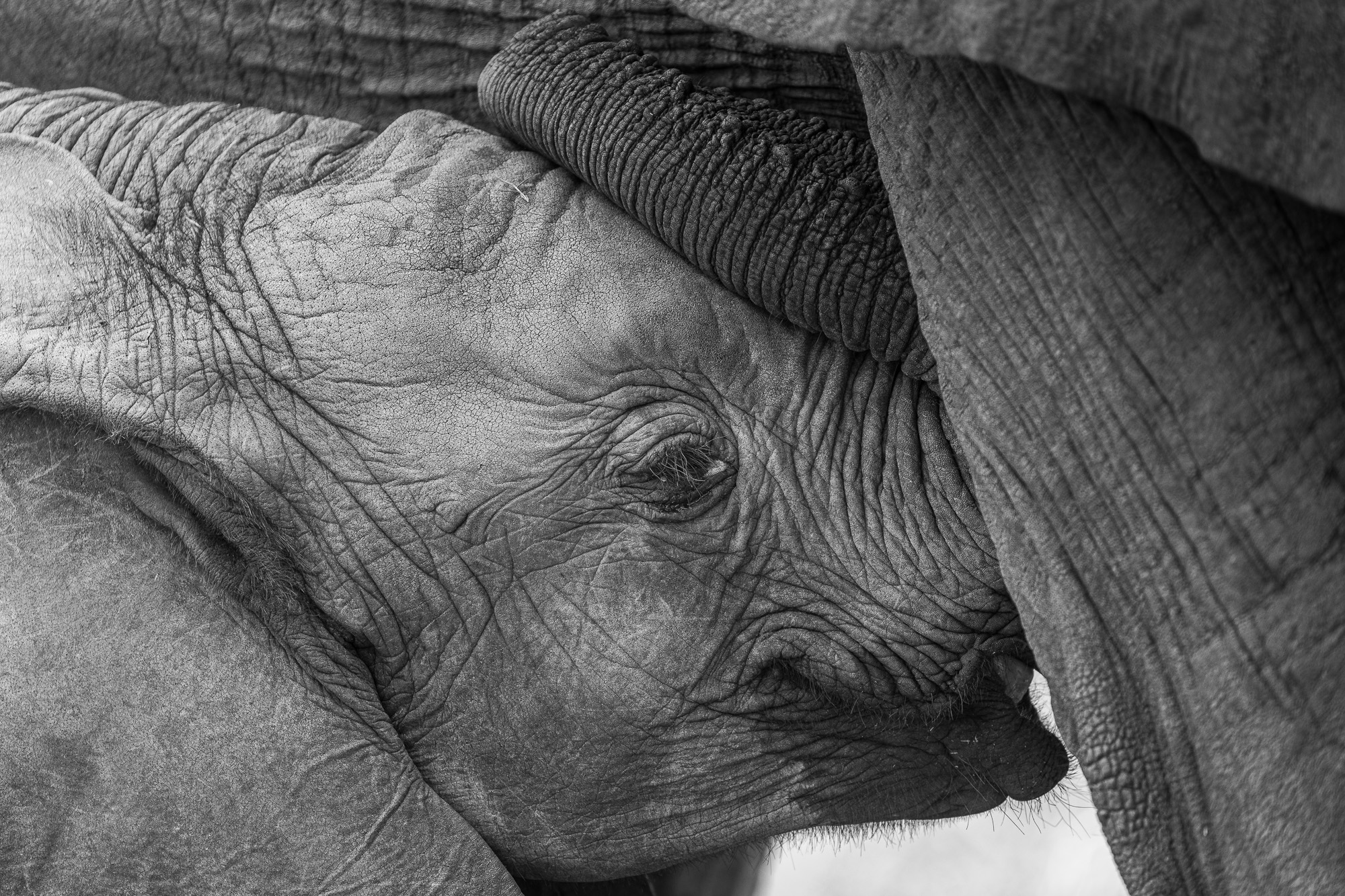 11443113082022225 ©SimonePaleari