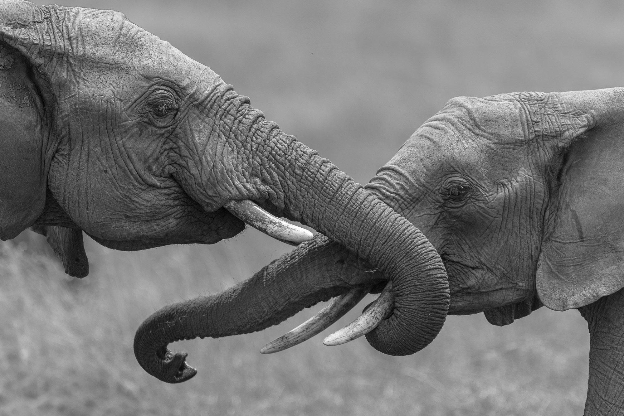 11544313082022225 ©SimonePaleari