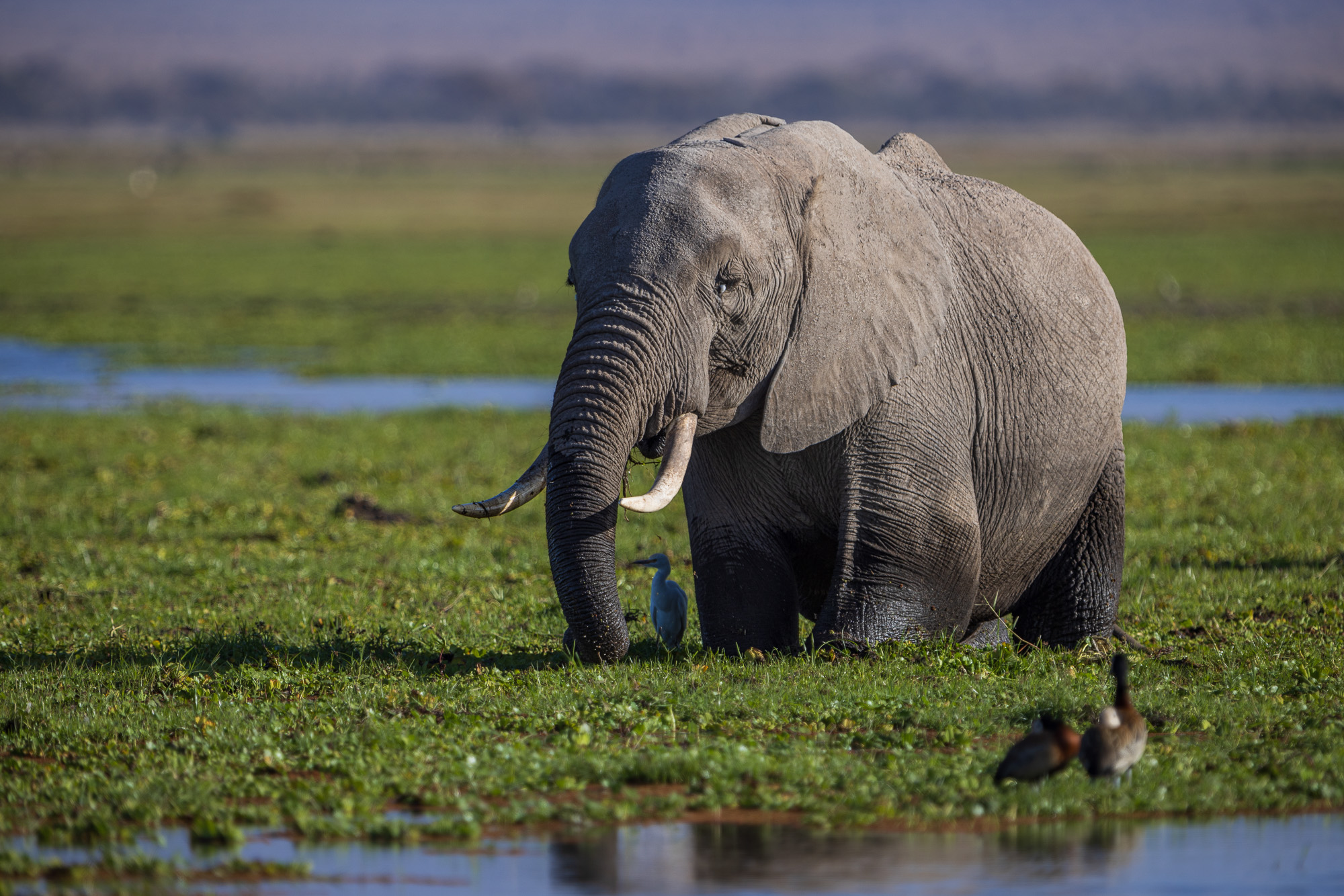 17040219082022231 ©SimonePaleari