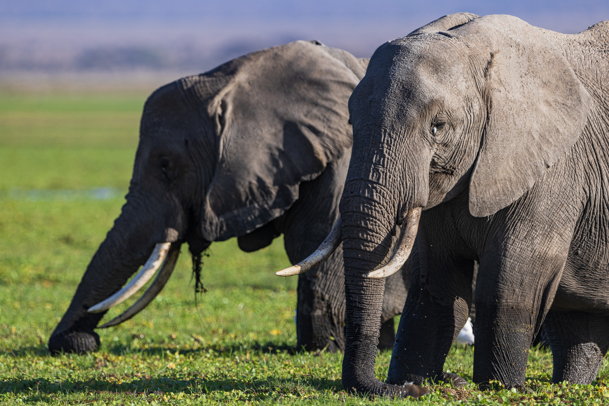 17093019082022231 ©SimonePaleari