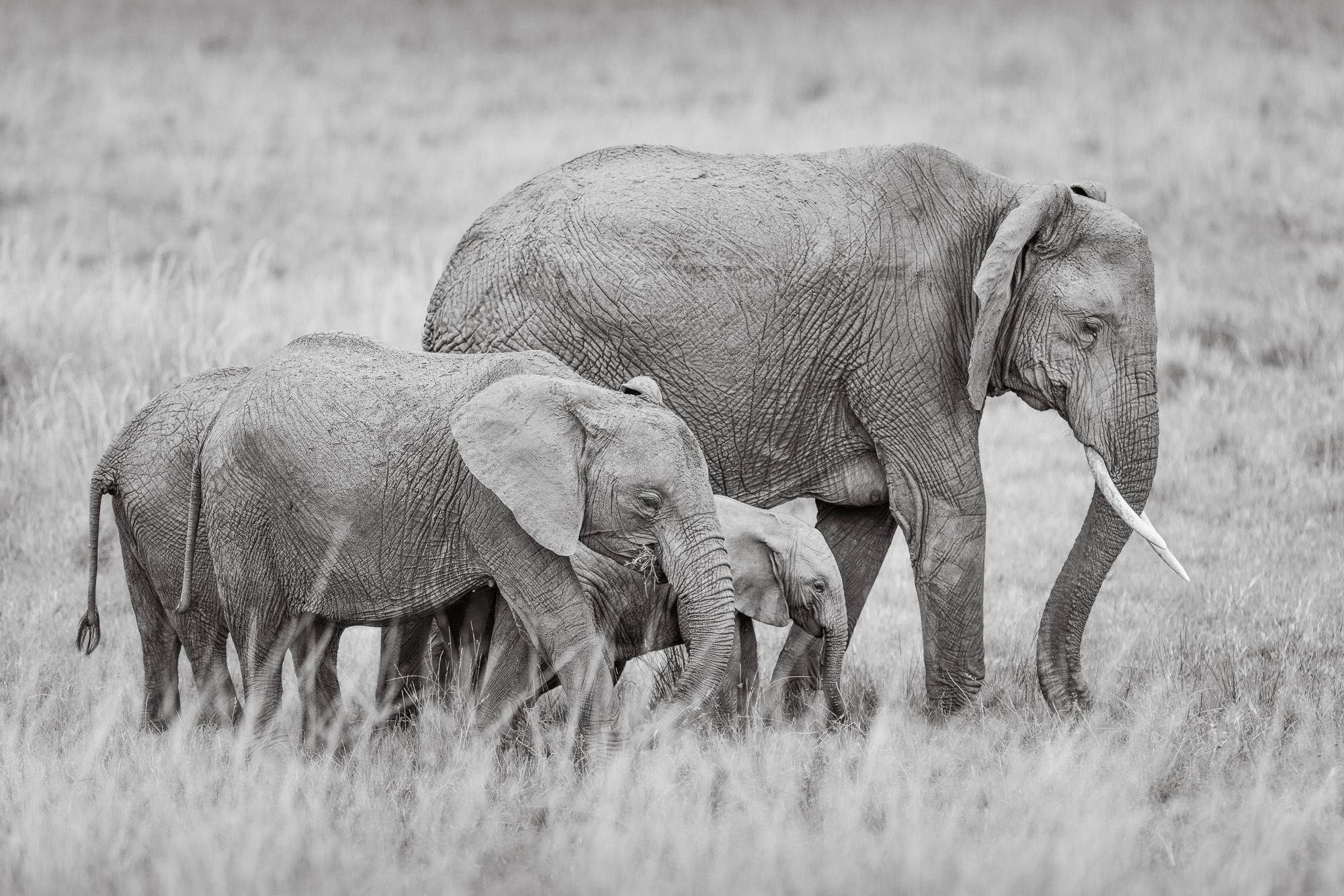 17102615082022227 ©SimonePaleari