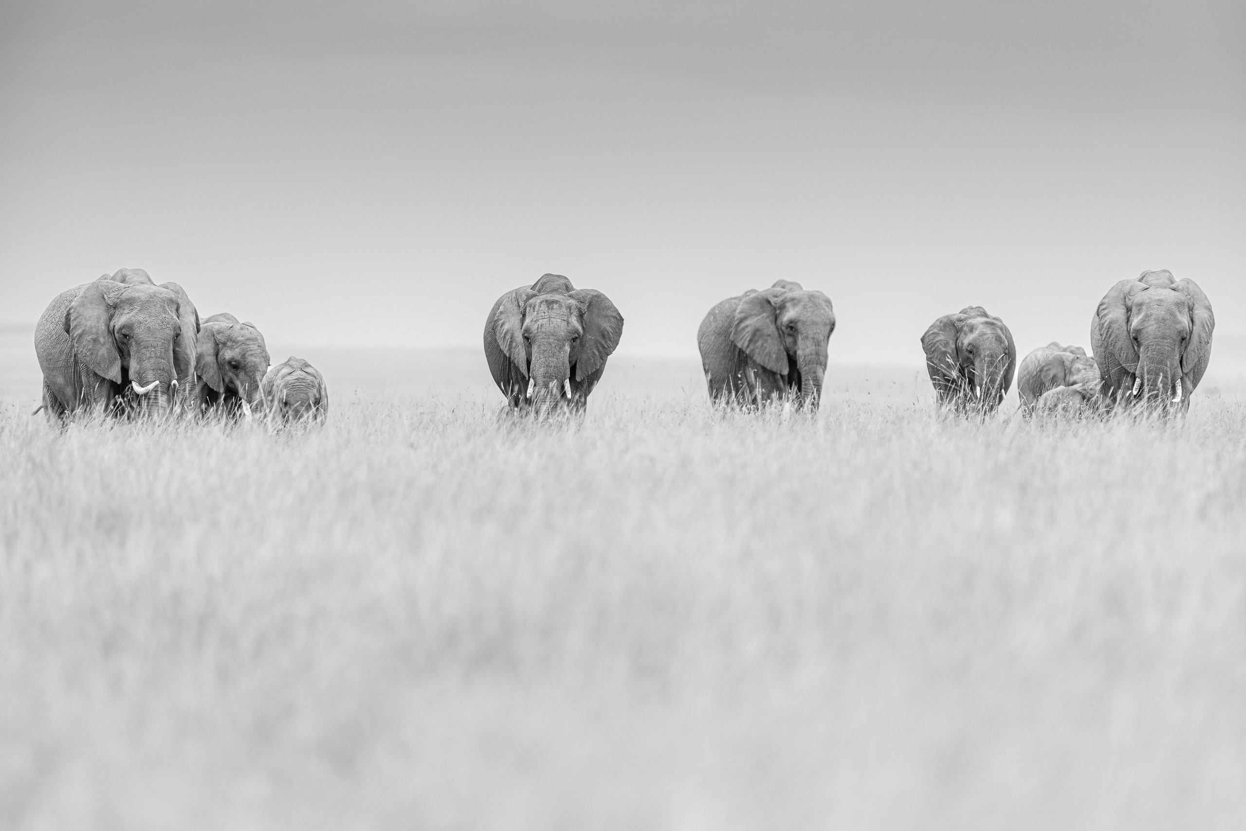 17193313082022225 ©SimonePaleari