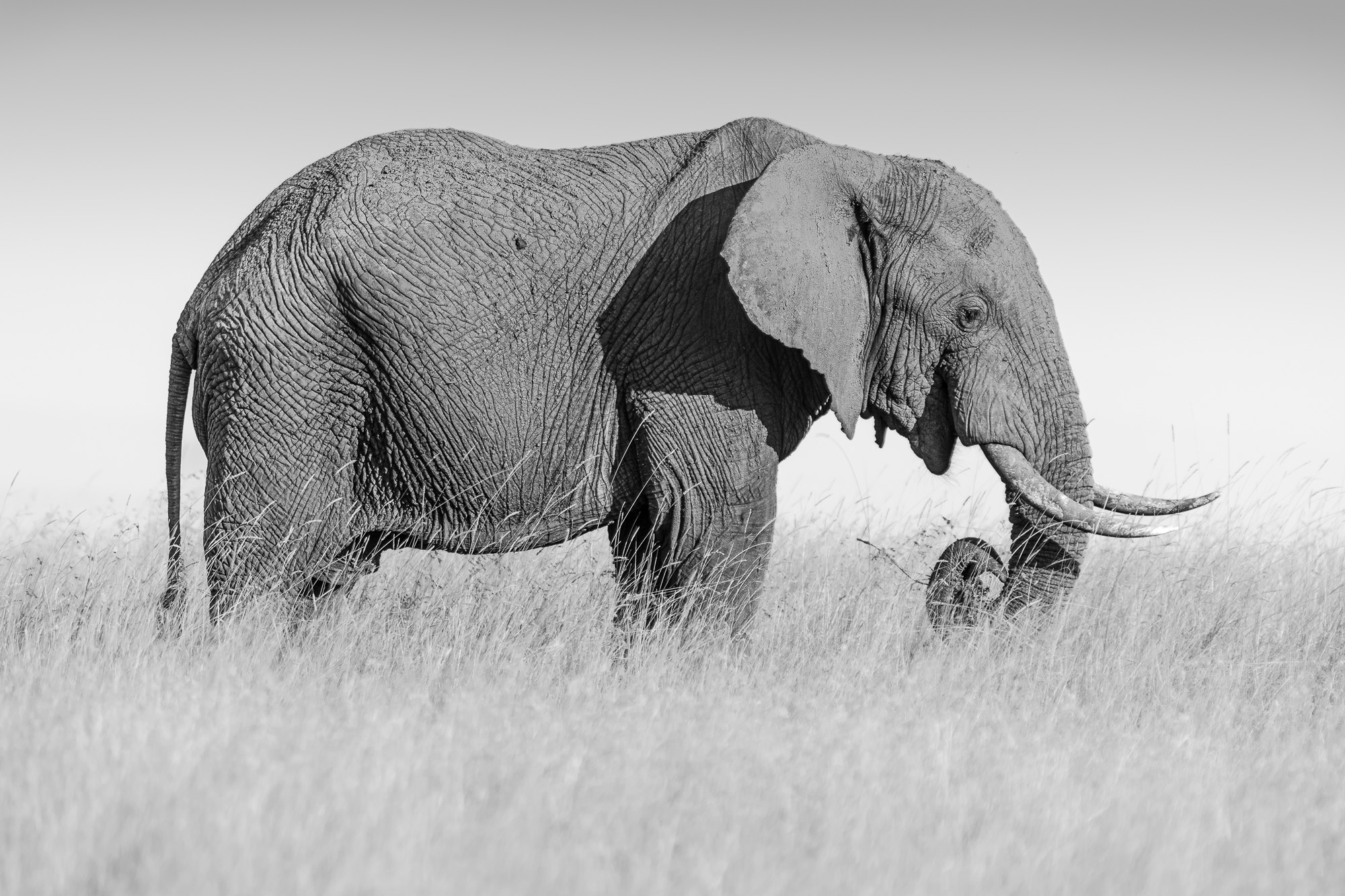 17205811082022223 ©SimonePaleari