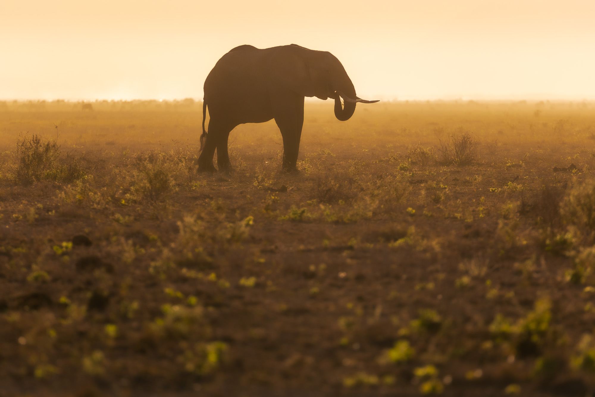 17432919082022231 ©SimonePaleari