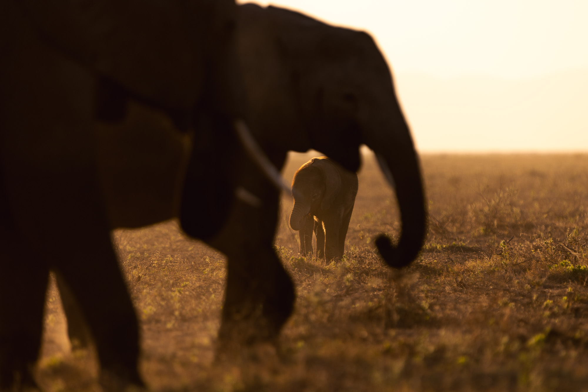 17585419082022231 ©SimonePaleari