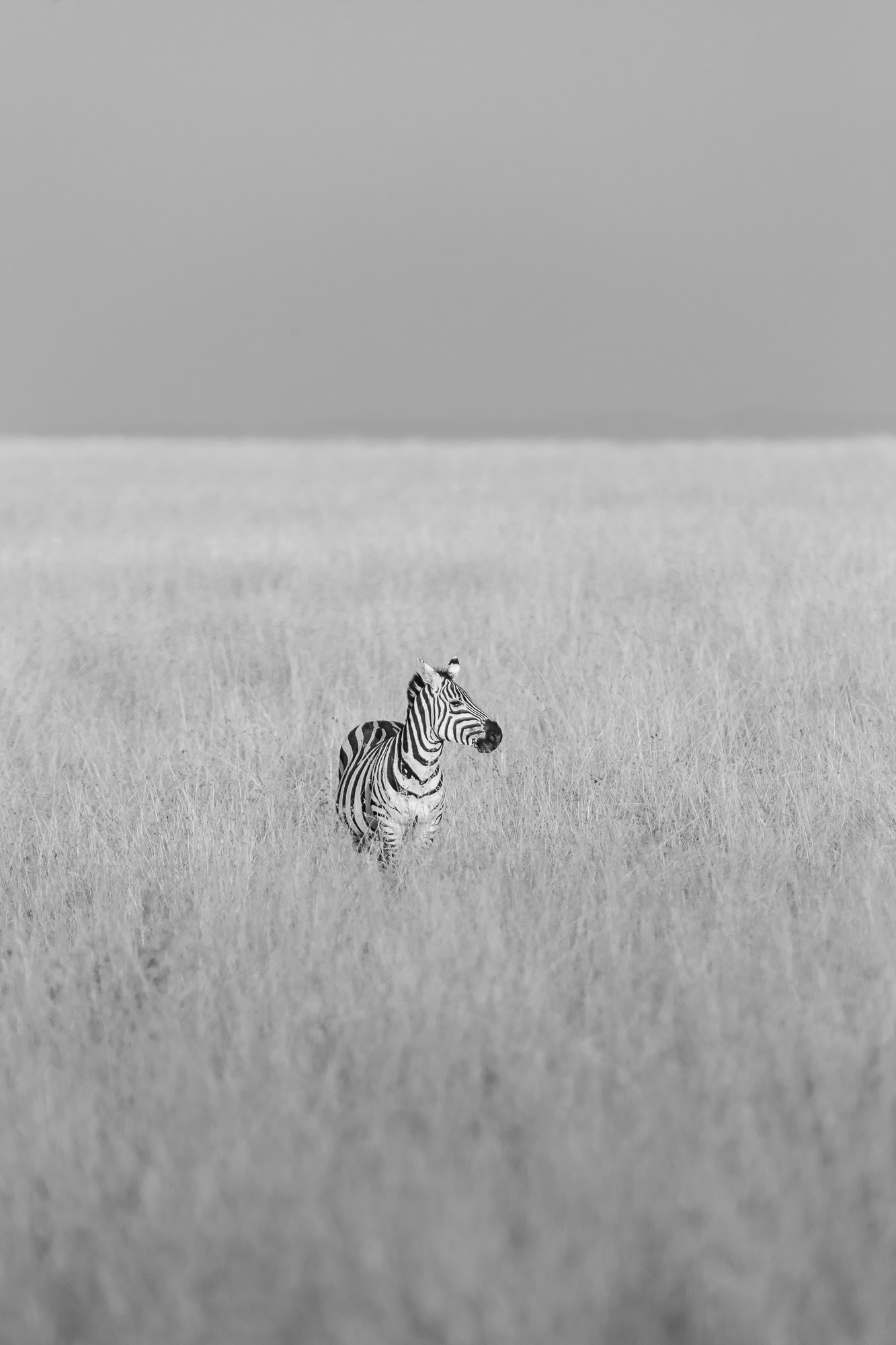 18121610082022222 ©SimonePaleari