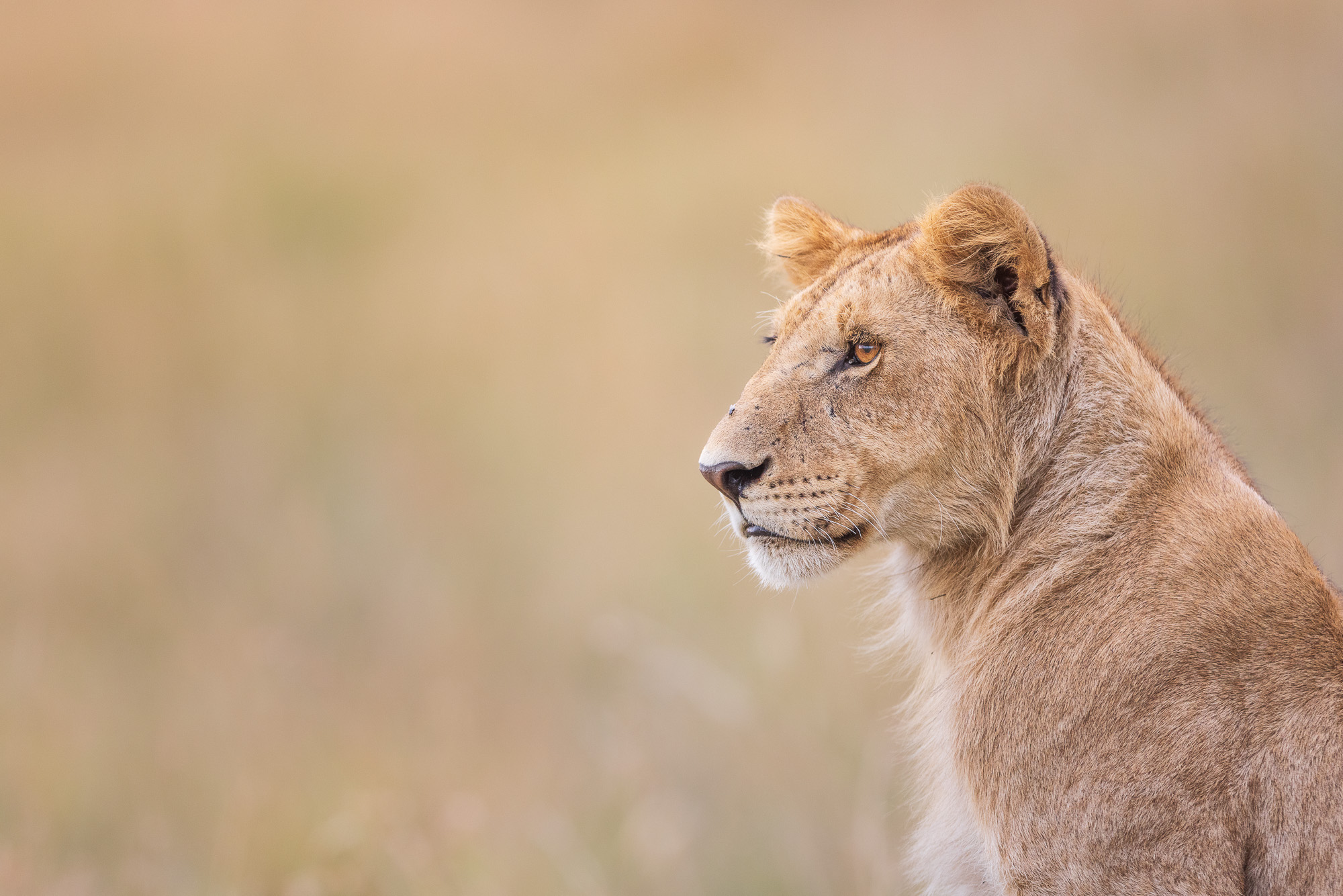 18161314082022226 ©SimonePaleari