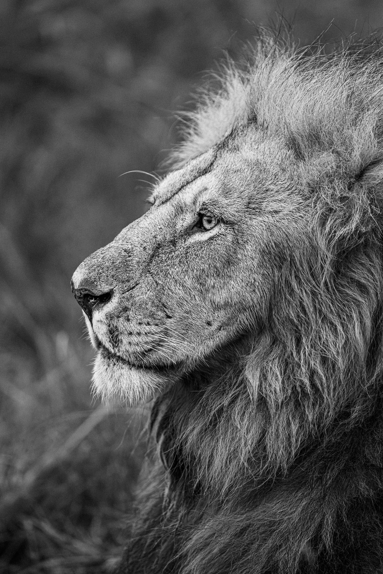 18201216082022228 ©SimonePaleari