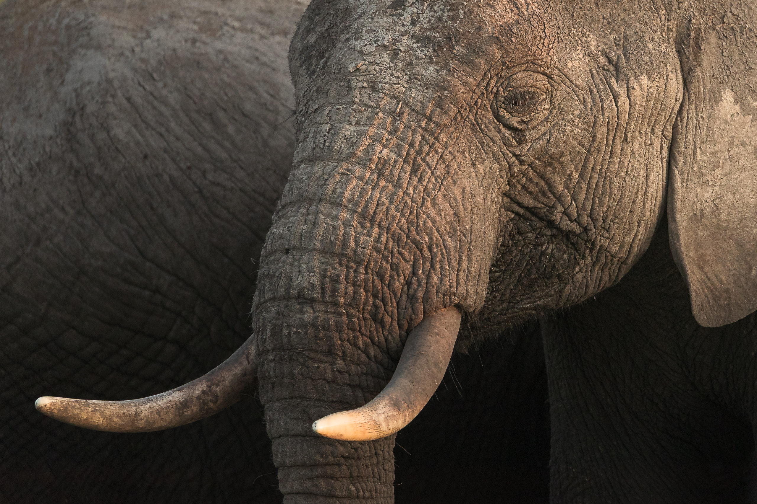 18284519082022231 ©SimonePaleari